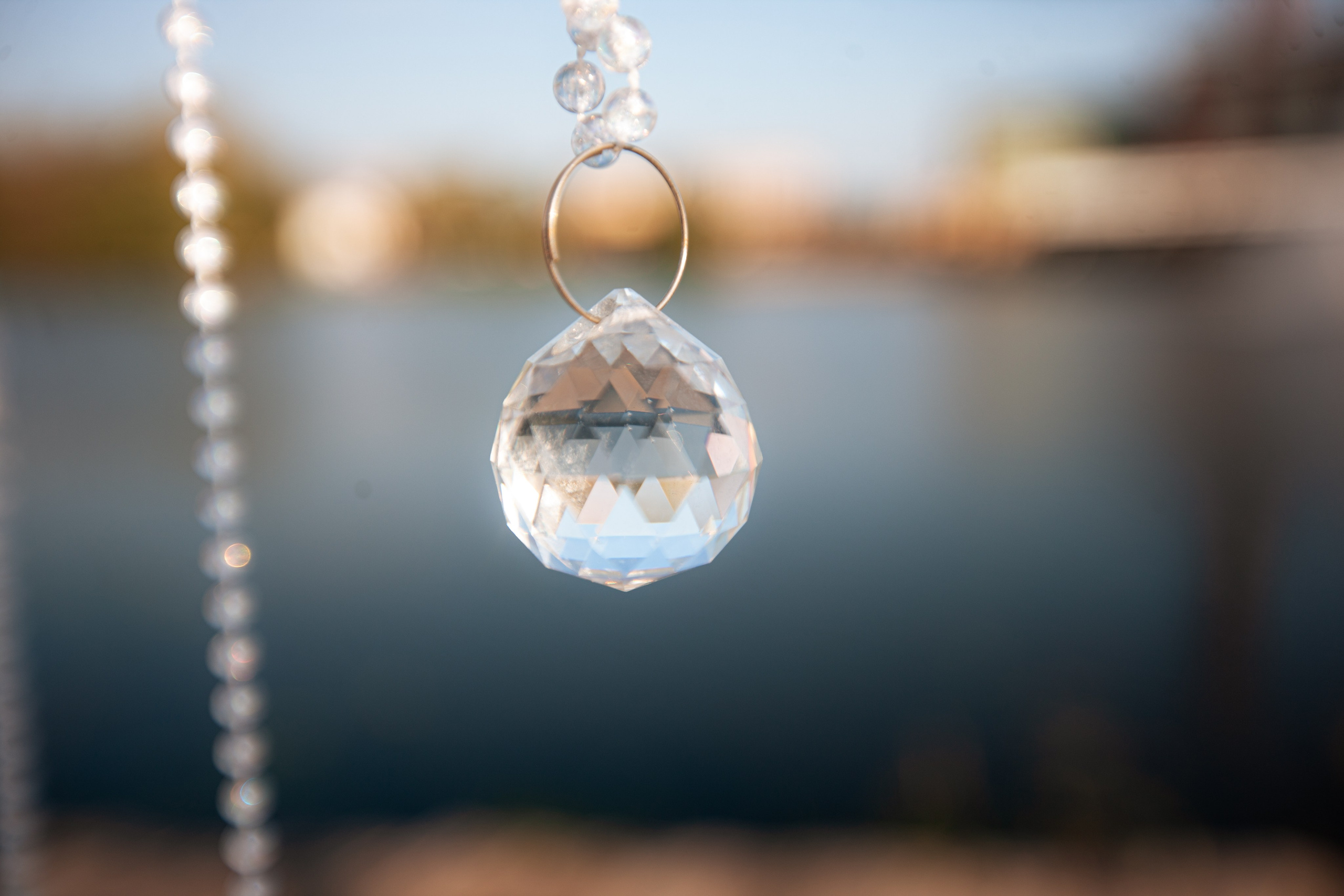 Wild. Фотограф Елизавета Маслова. Москва. Art, Fashion