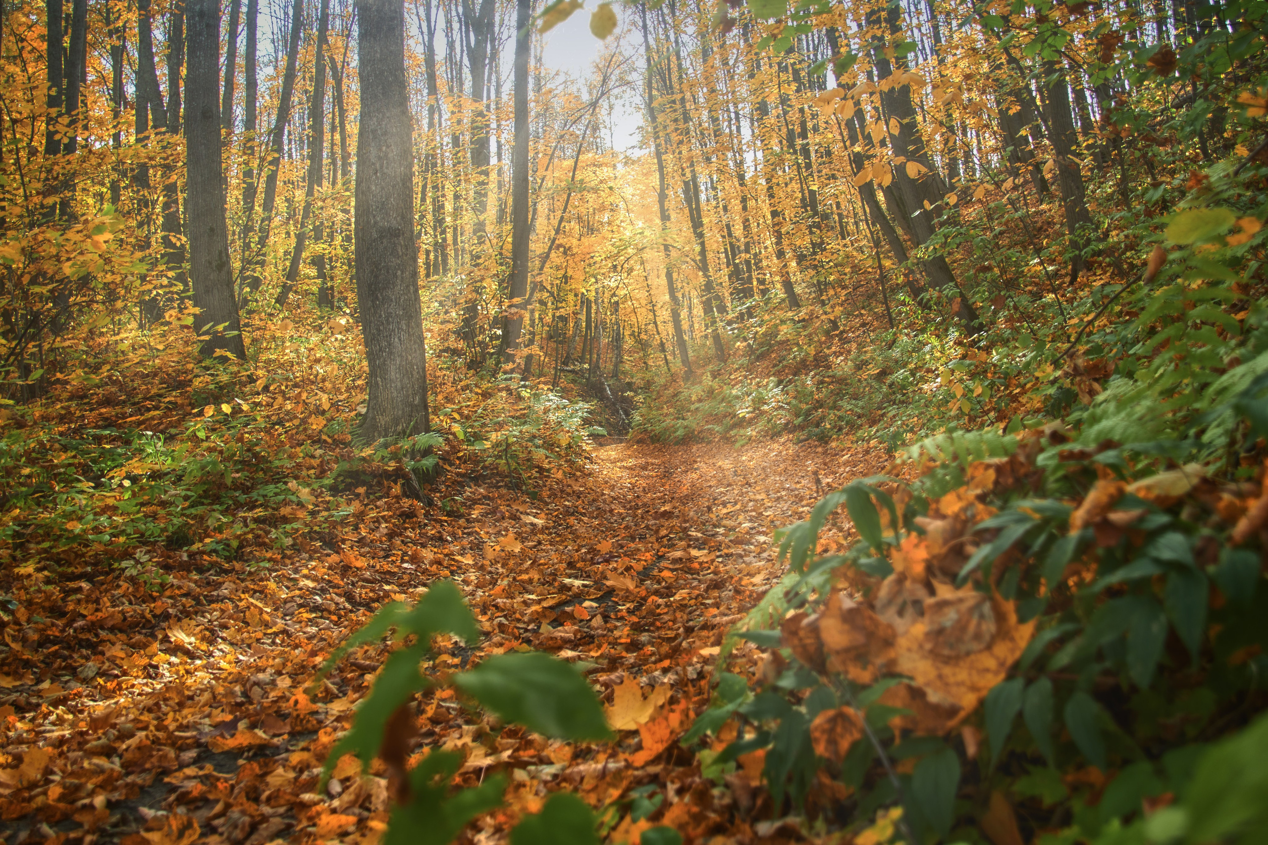 Пейзажная фотосъемка. Владимир Суздалов (ProMaXe) — Портретный фотограф, тематические фотосессии в Чебоксарах