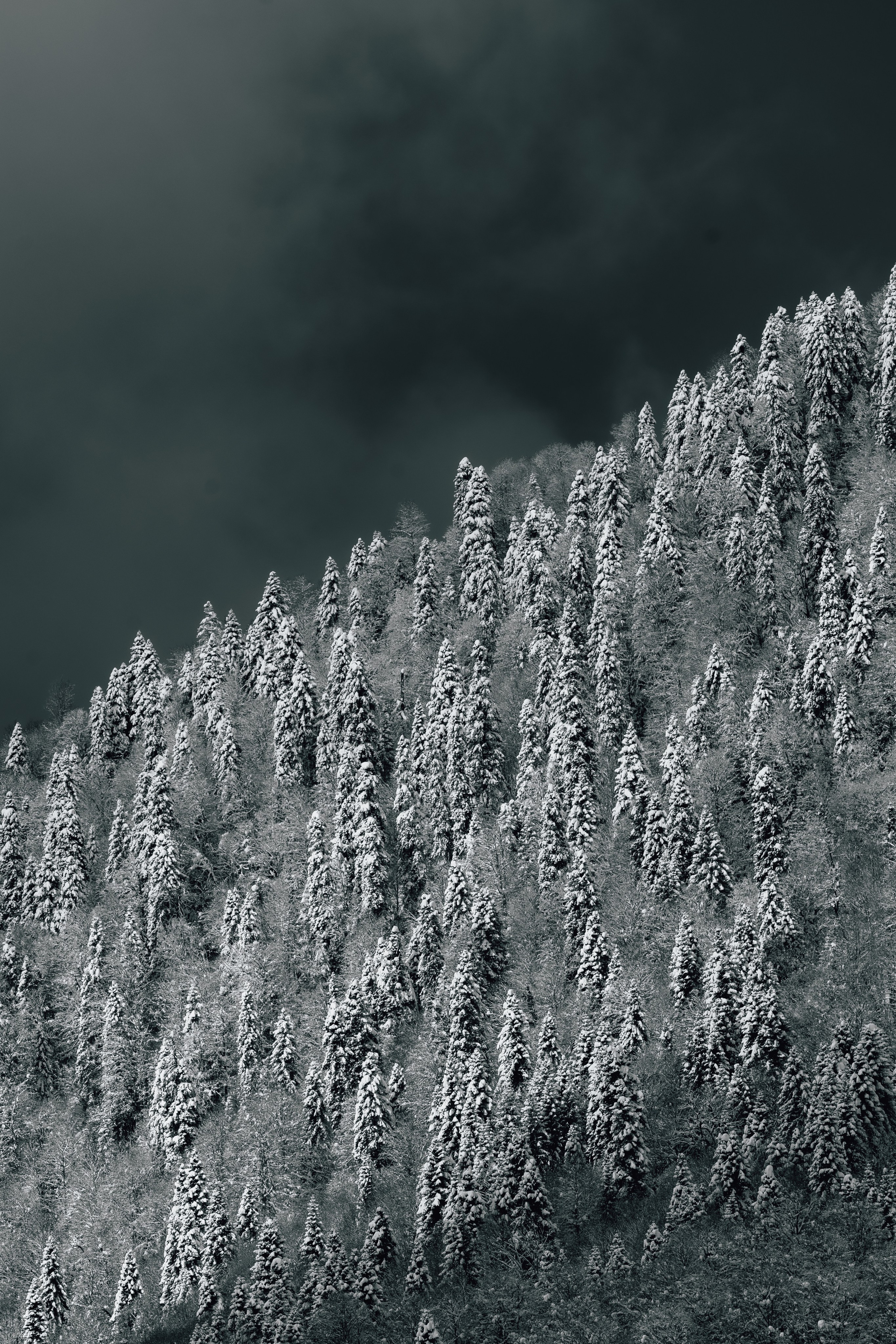 Путешествия и пейзаж. Репортажный фотограф в Красной Поляне и Сочи Павлюченко Екатерина