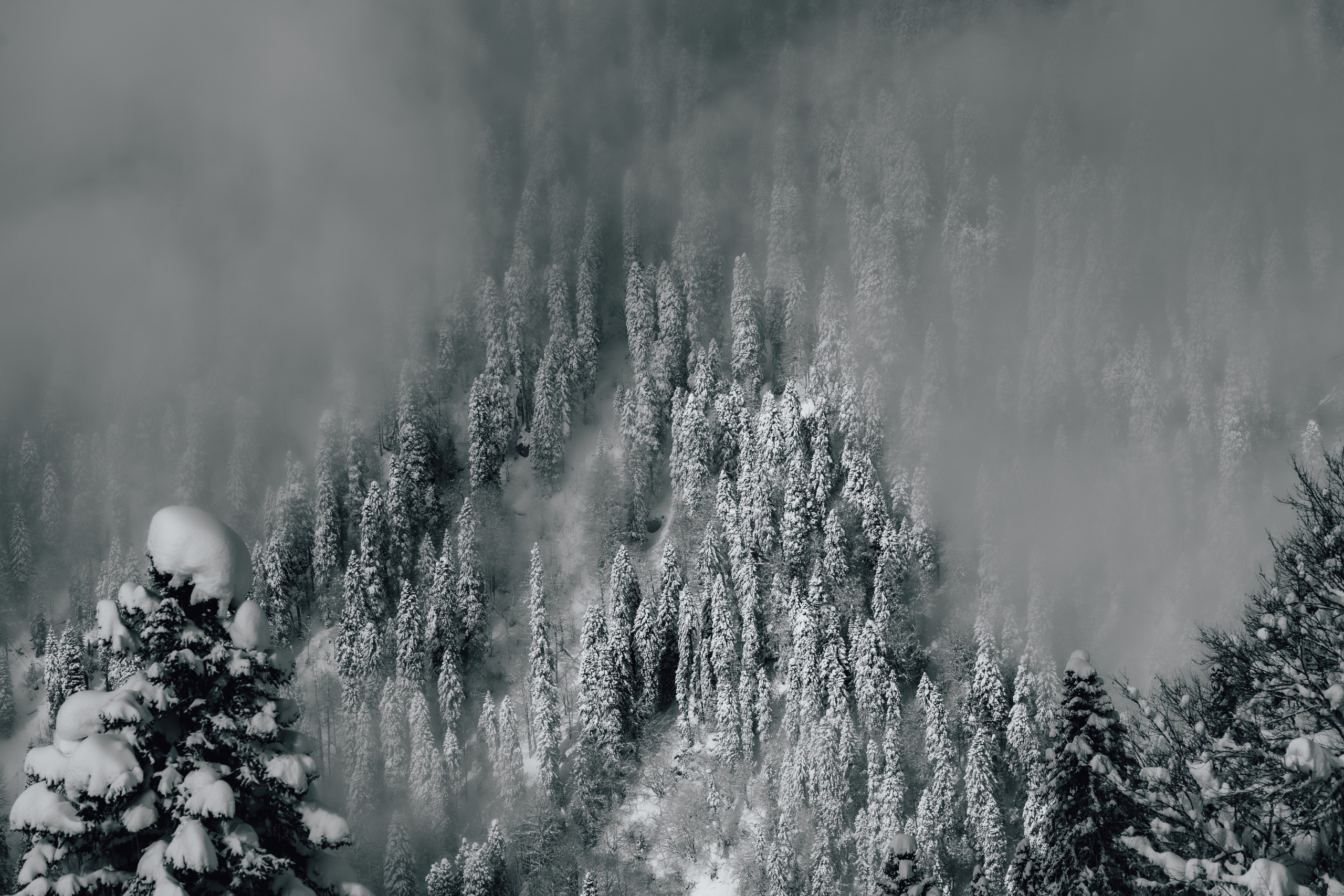 Путешествия и пейзаж. Репортажный фотограф в Красной Поляне и Сочи Павлюченко Екатерина