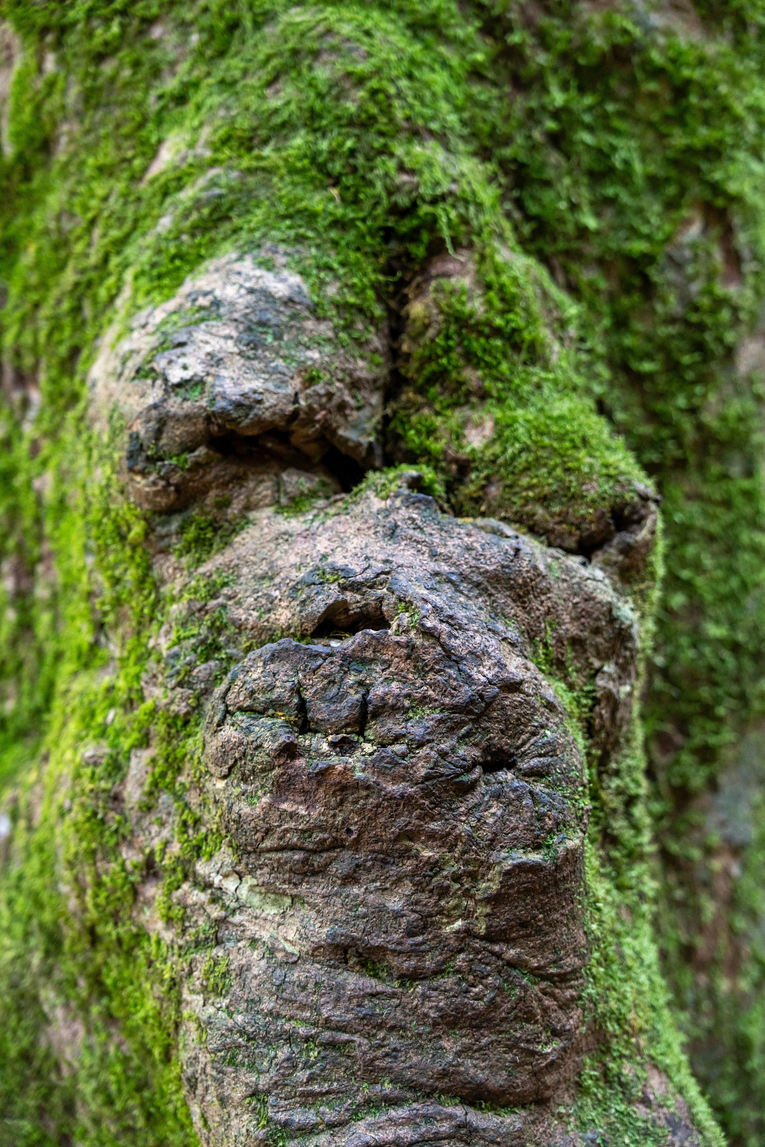 Mice мероприятие — тур по Абхазии. Репортажный фотограф в Красной Поляне и Сочи Павлюченко Екатерина