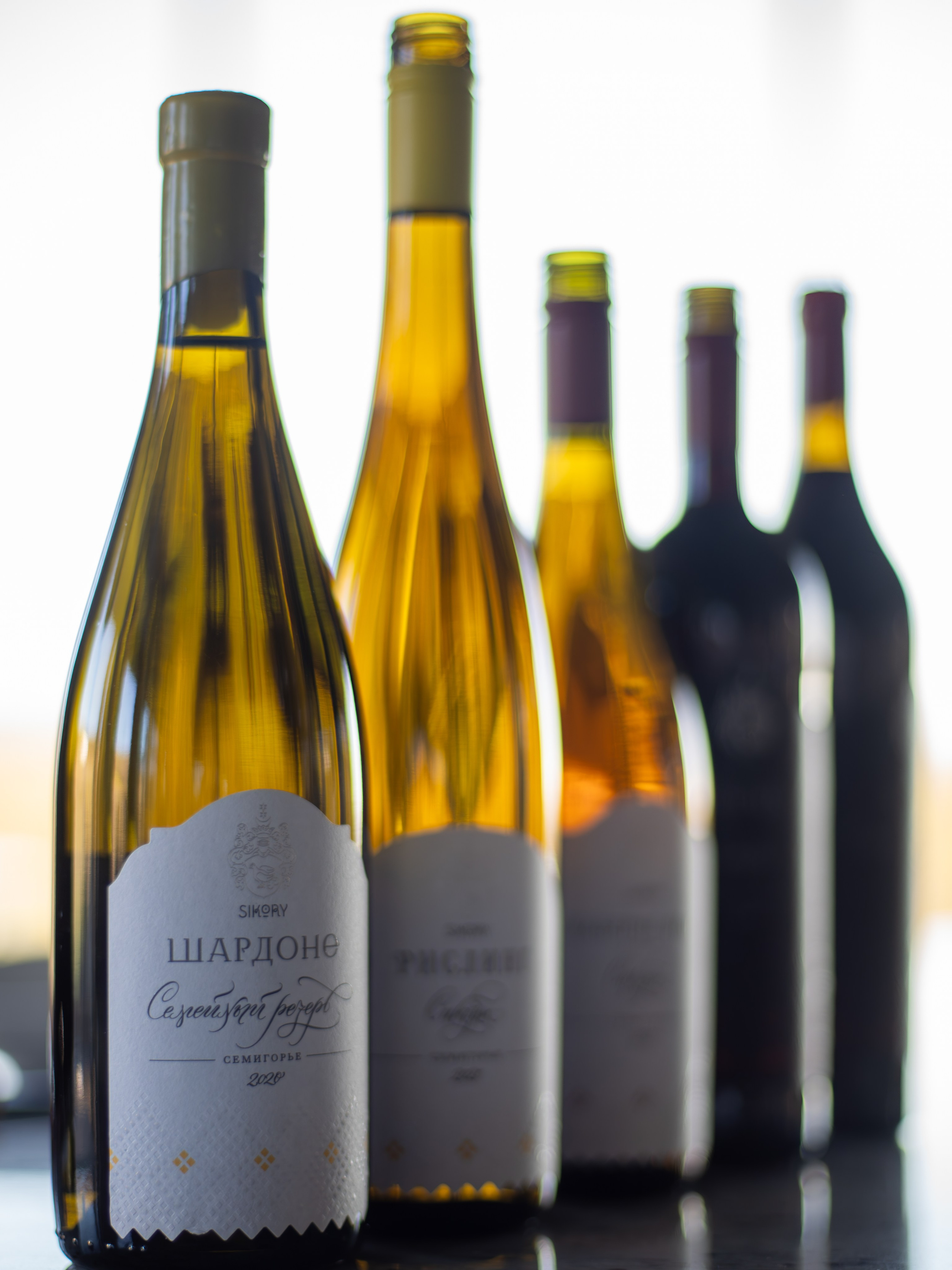 Литературная мастерская с Ольгой Шутовой в «Винотеррии». Репортажный фотограф в Красной Поляне и Сочи Павлюченко Екатерина