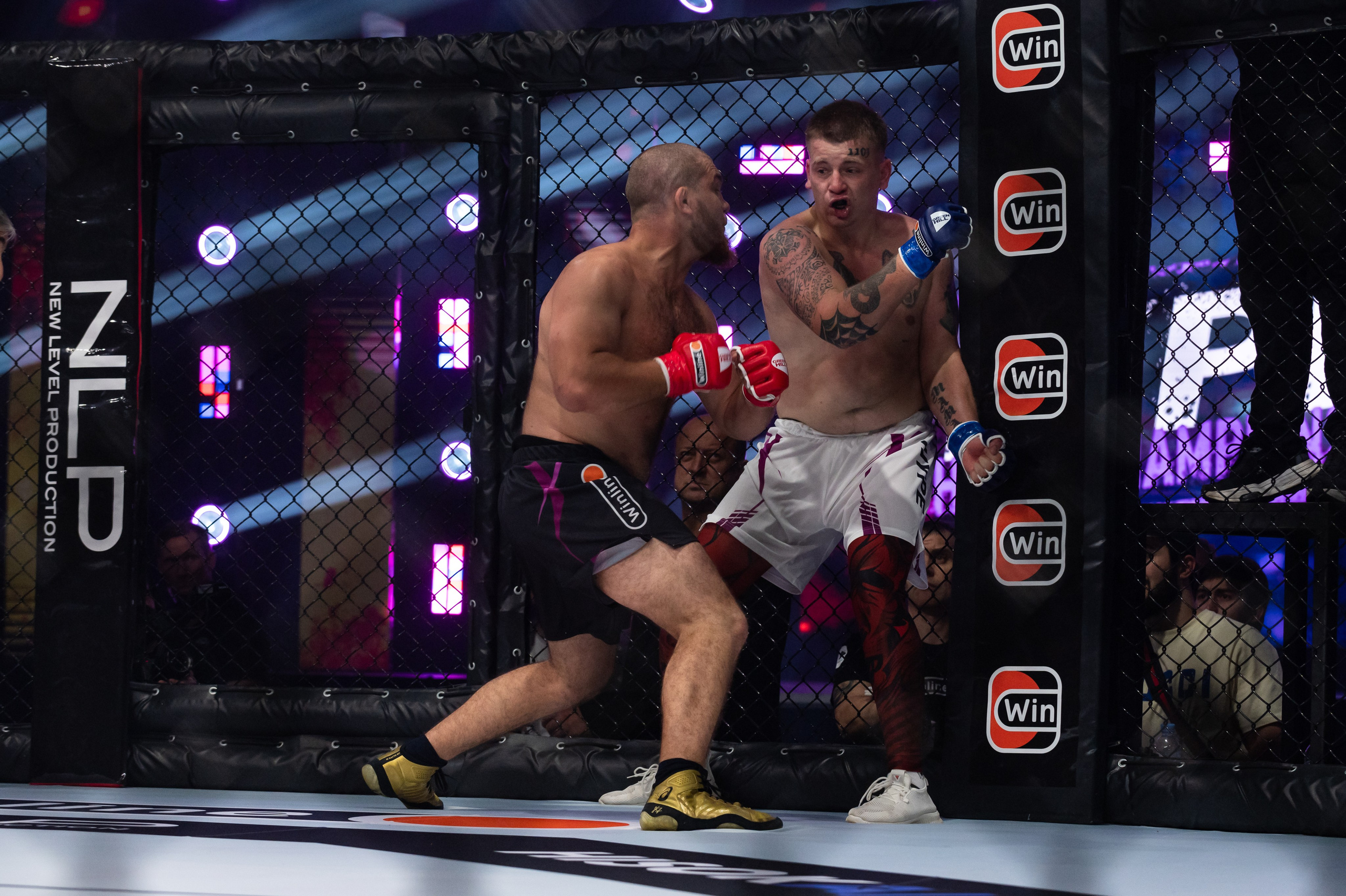 Бои. Репортажный фотограф в Красной Поляне и Сочи Павлюченко Екатерина