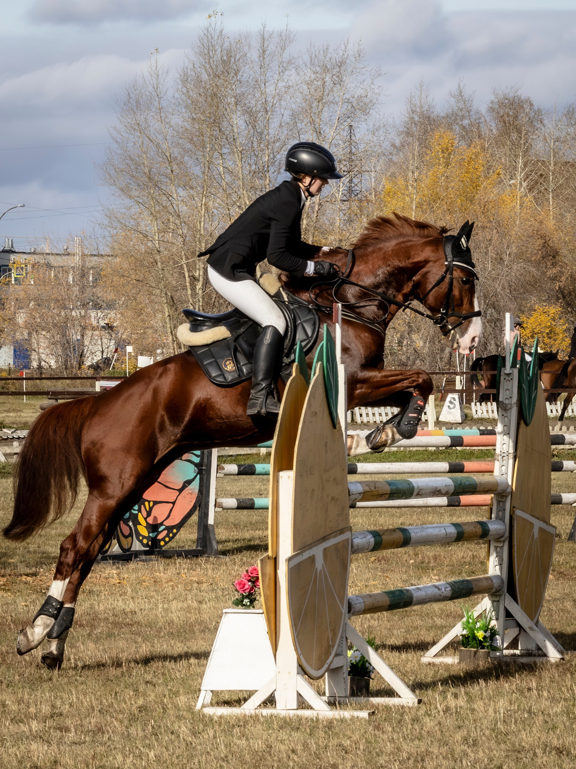 Конкур. Bertran Ordo