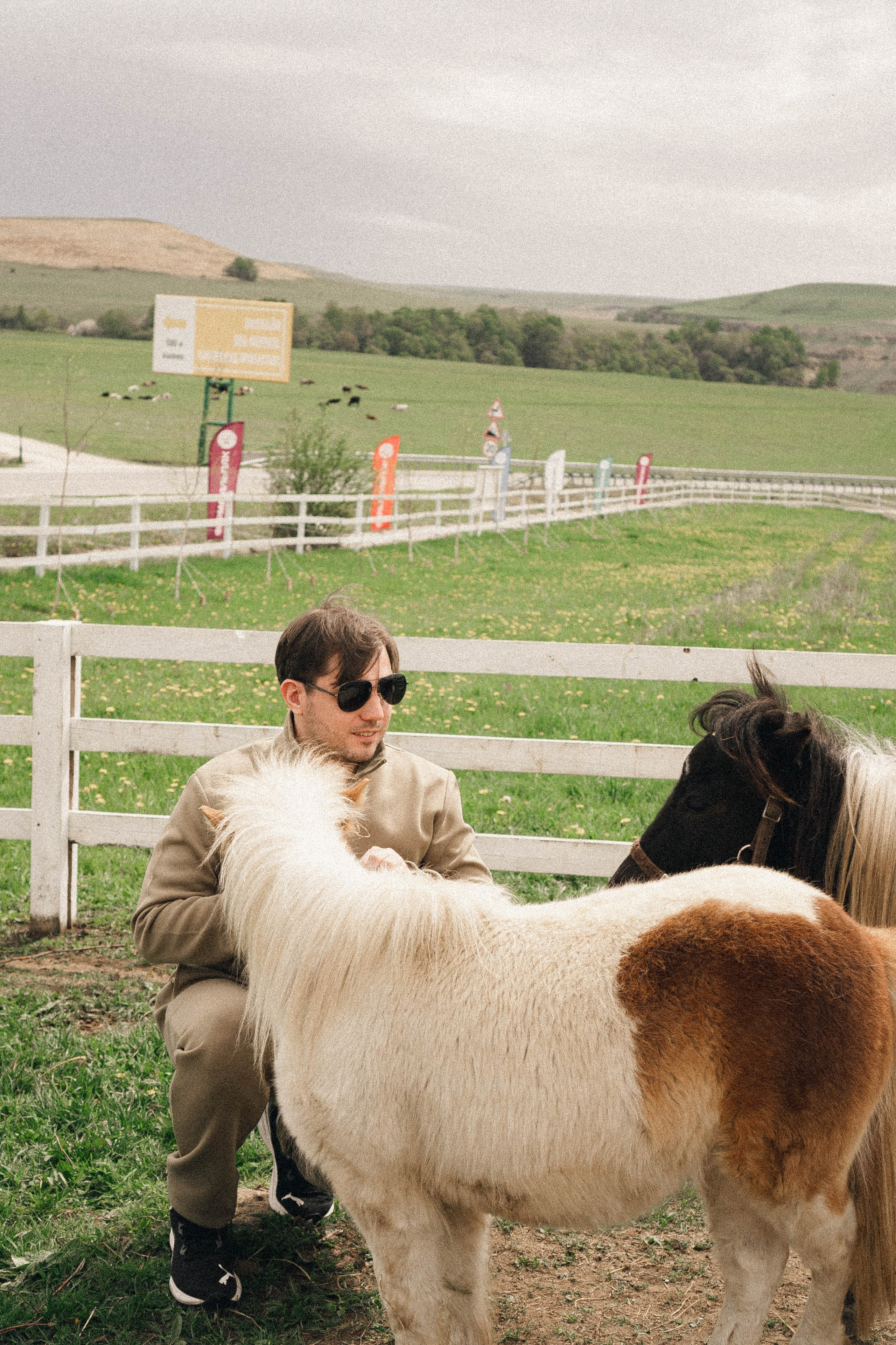 Ферма Альпак. Профессиональный фотограф, Санкт-Петербург — Виктория Богомолова