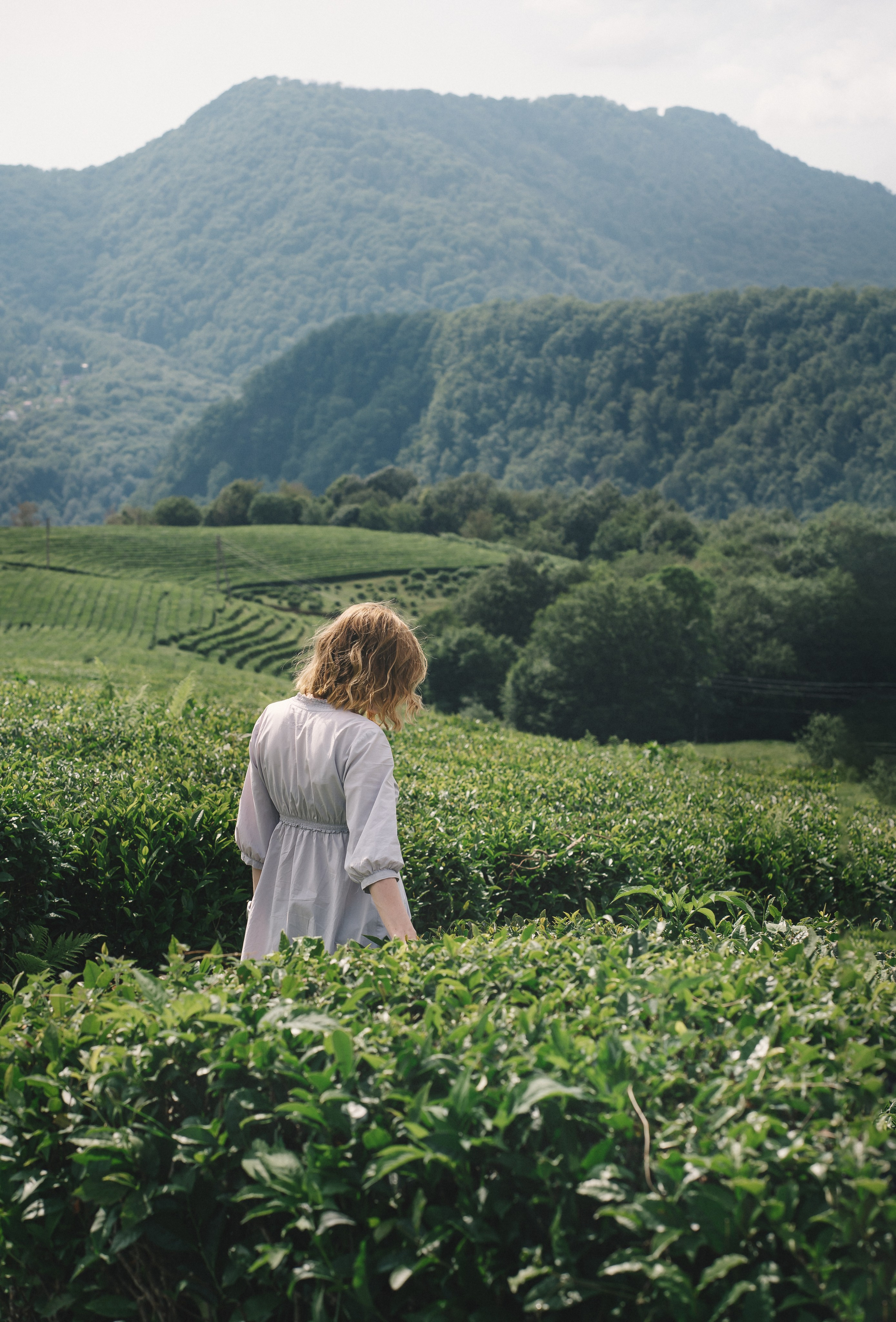 Отзывы. Татьяна Тагель