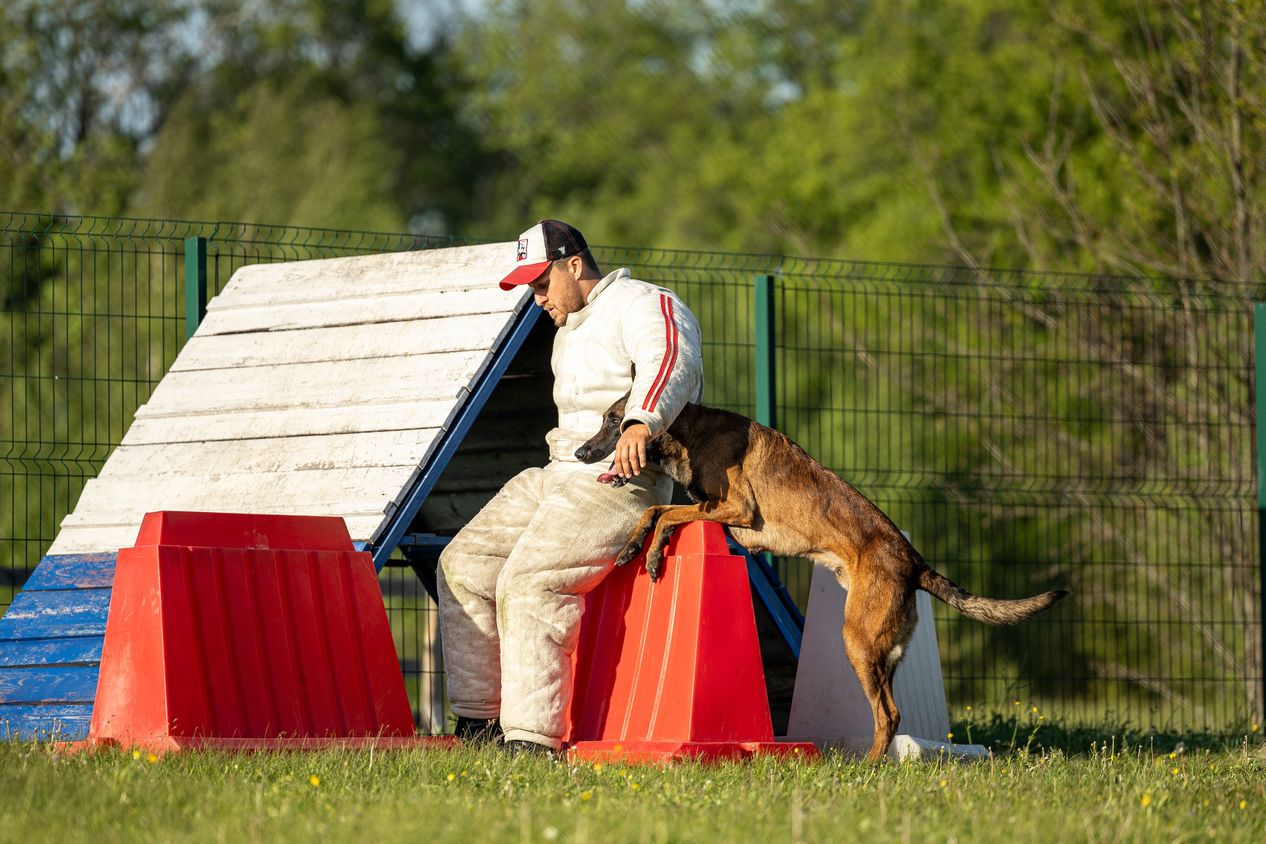 Испытания по мондьорингу в Нижнем Новгороде. Фотограф-анималист Анна Маринич