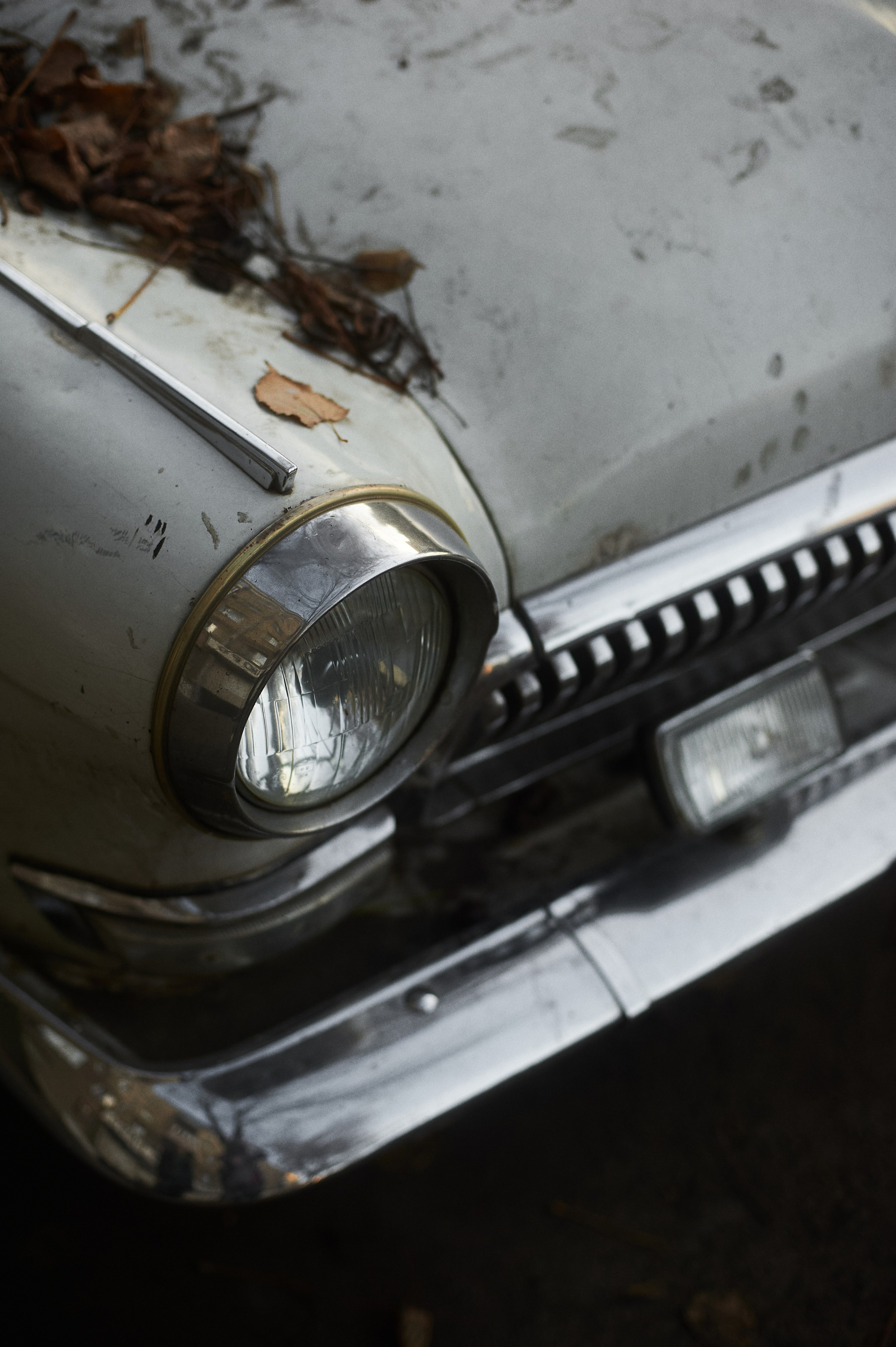 Влад. Портретный фотограф в Воронеже Вячеслав Буряк