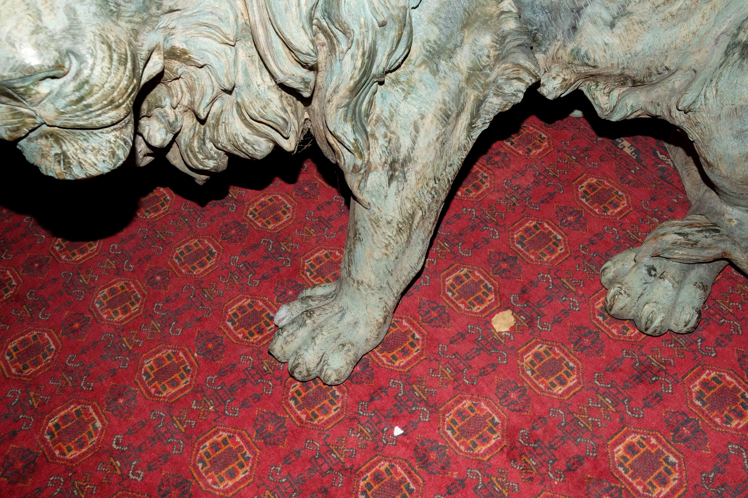 Simple. Photos. Photographer, Documentary and Art