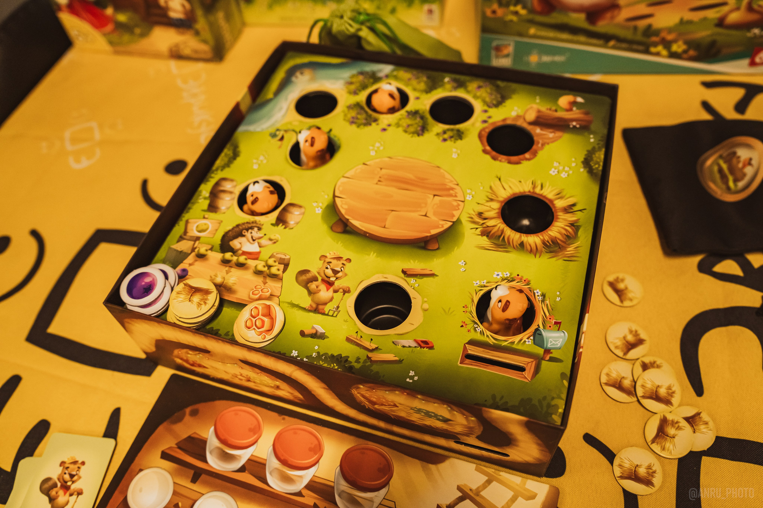 Fox Family fest. Репортажный фотограф Анастасия Рубцова