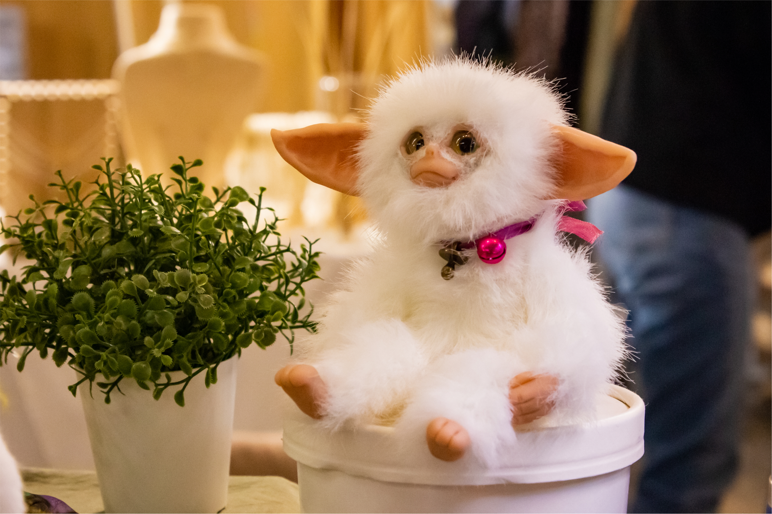 Маркет 4 сезона. Репортажный фотограф Анастасия Рубцова