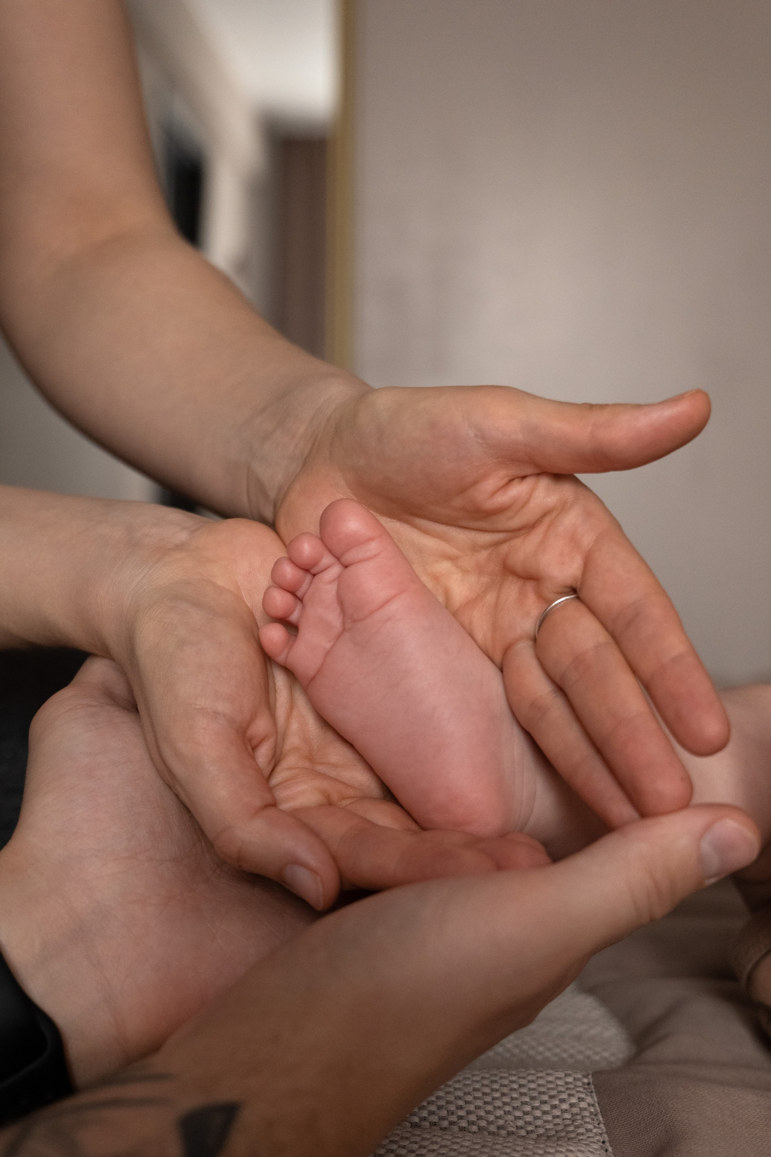 Мишке 4 месяца. Фотограф видеограф Ольга Василевская