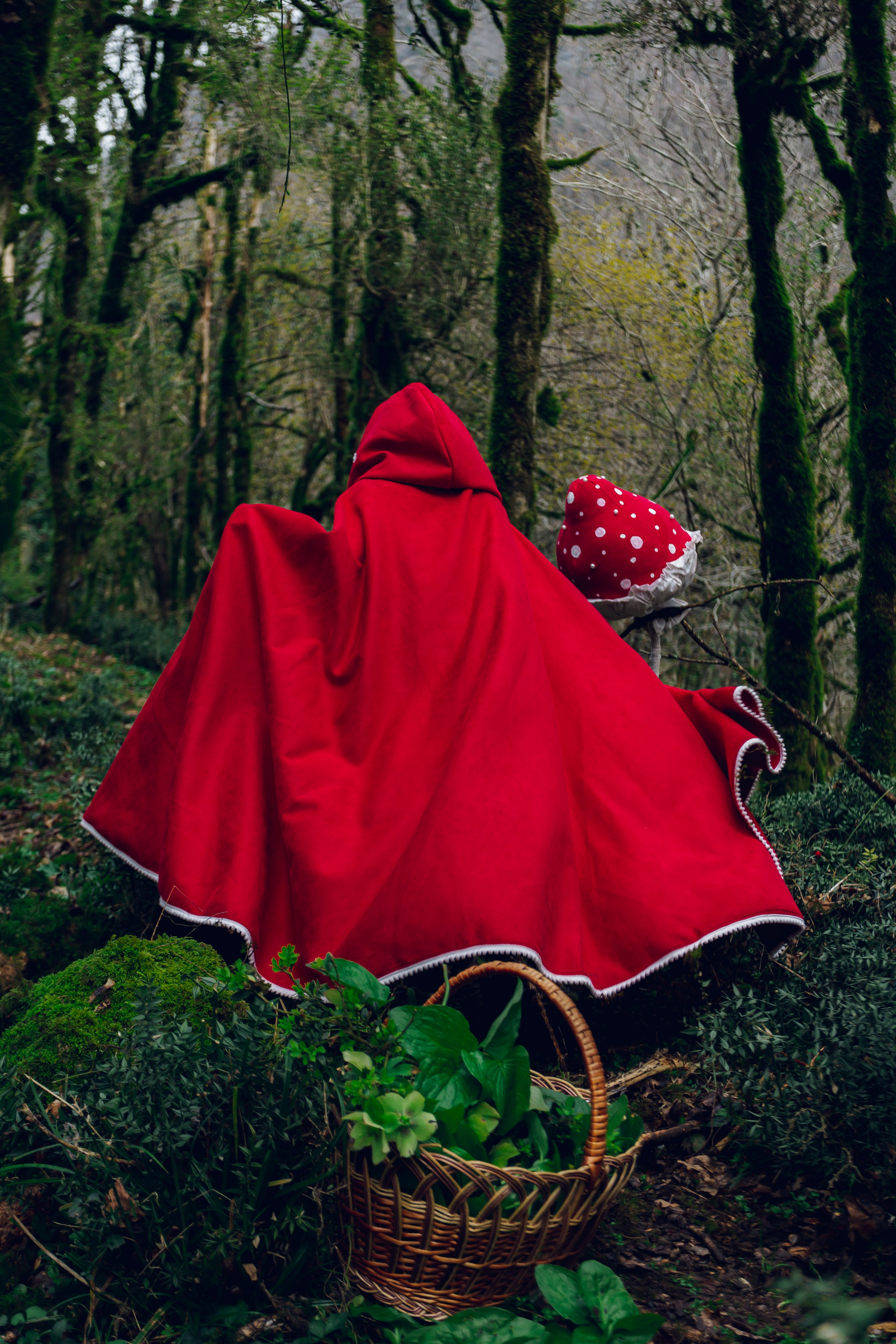 Самшитовая роща. Семейный и художественный фотограф в Тюмени Юлия Логинова