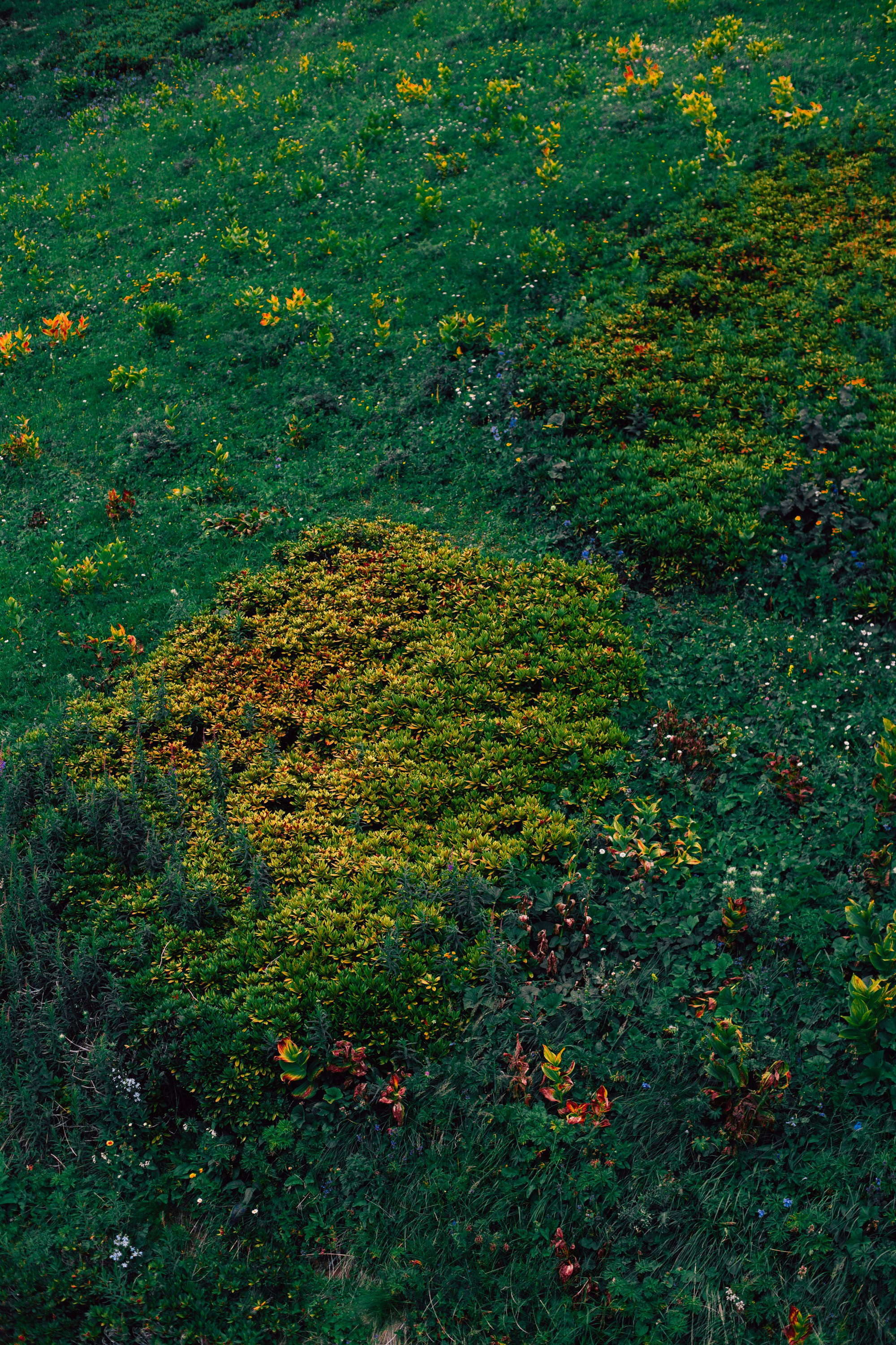 Марго. Фотограф Оля Батист