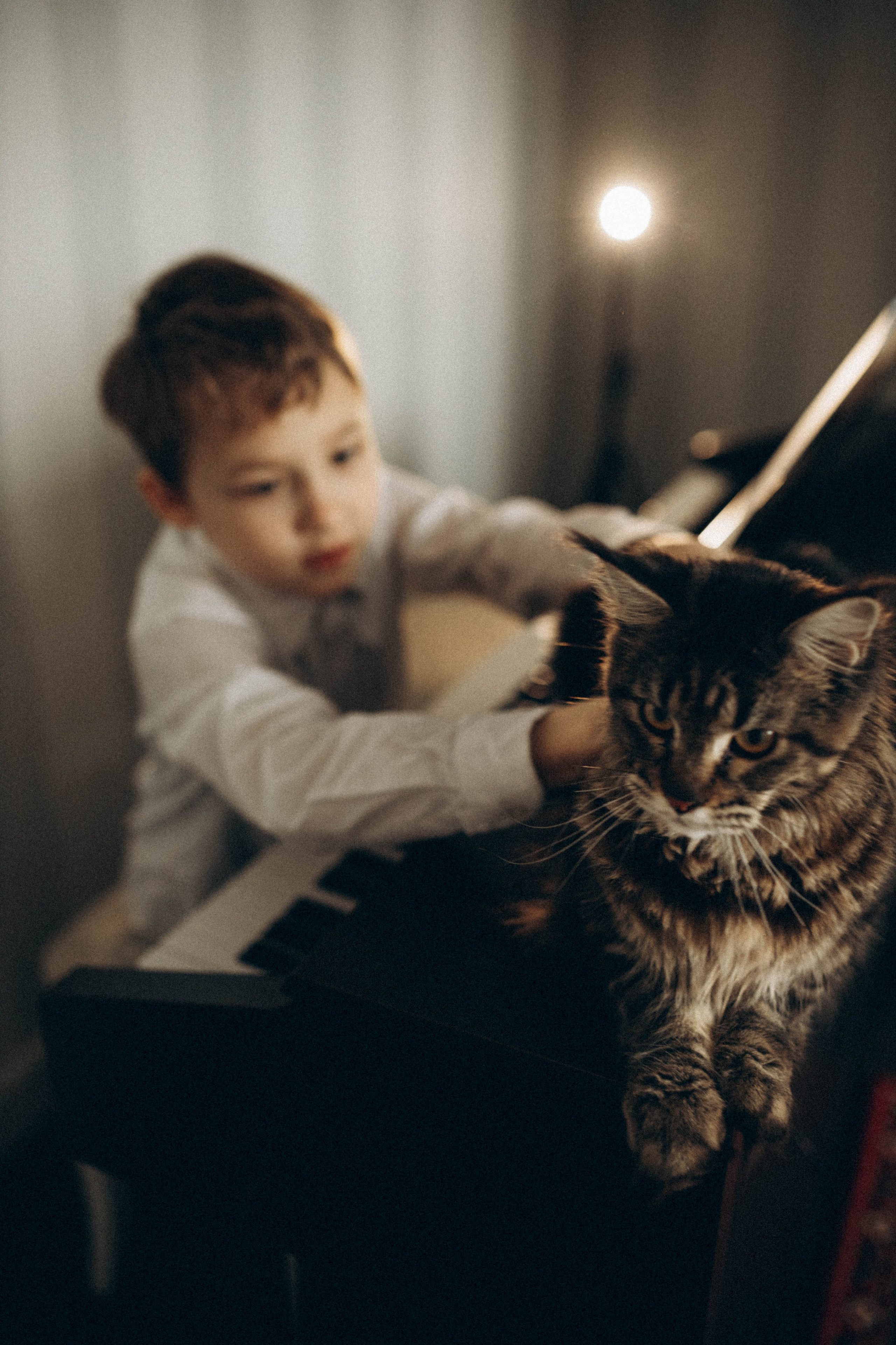 Преподаватель музыки