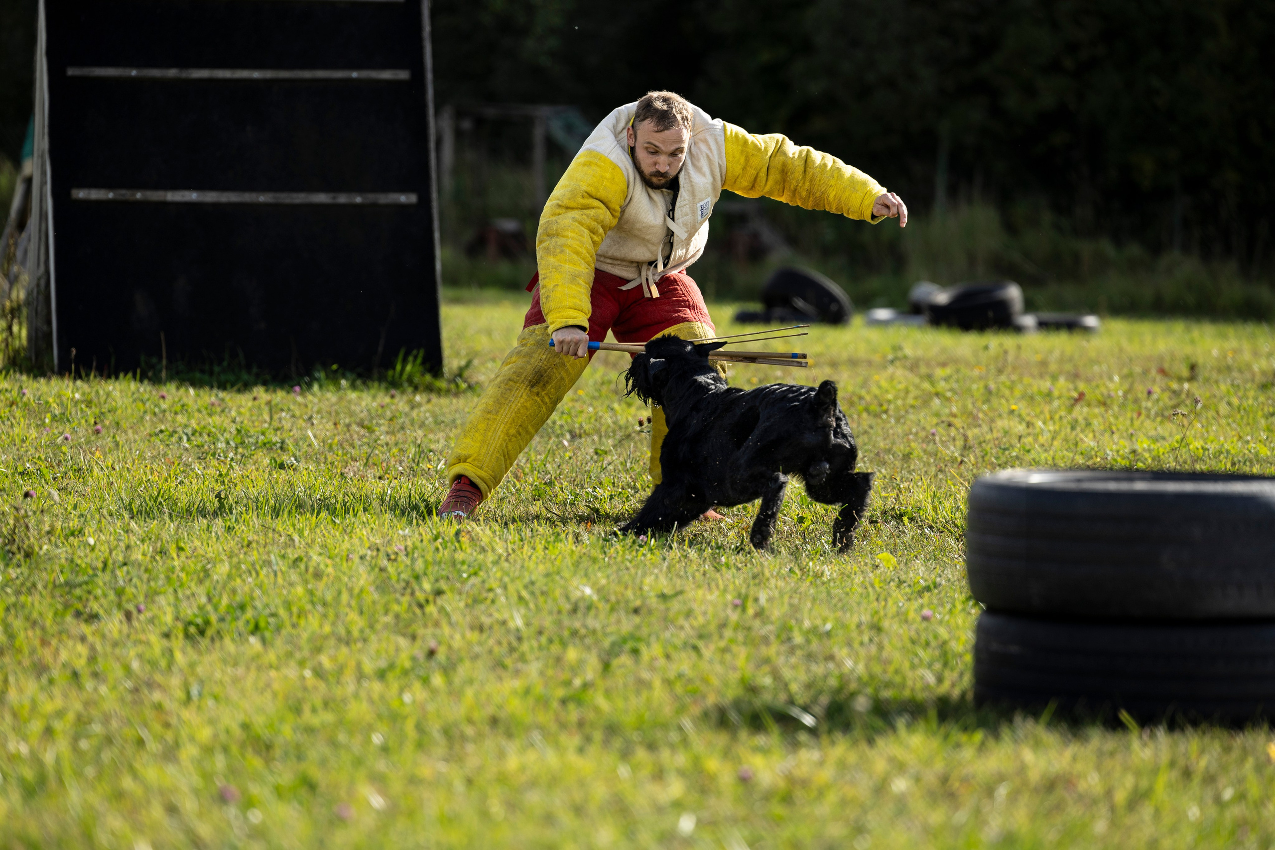 Испытания по Мондьорингу г. Пушкин. Фотограф-анималист Анна Маринич