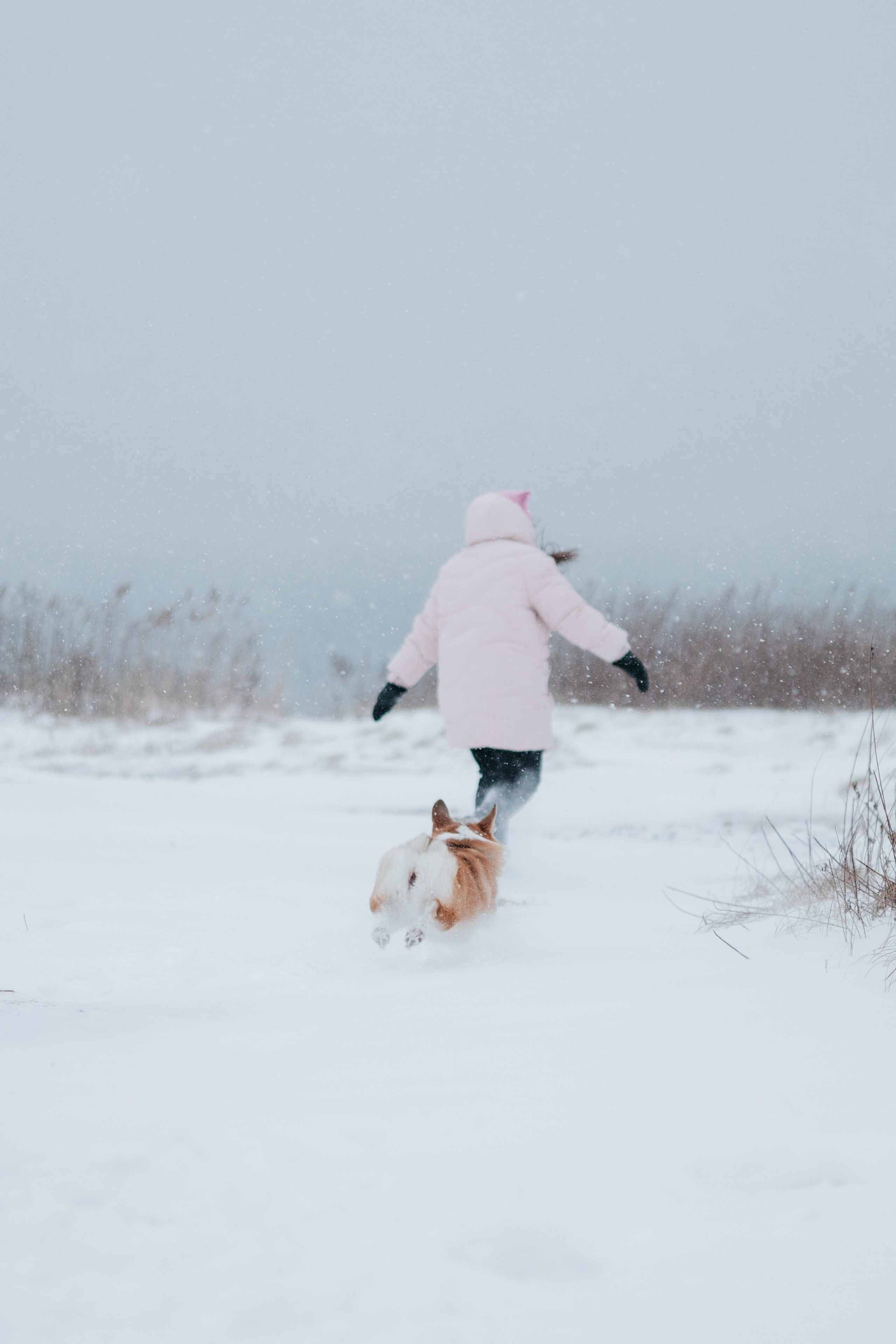 Лена, Лиза и Мия. Фотограф — анималист Владивосток, Алина