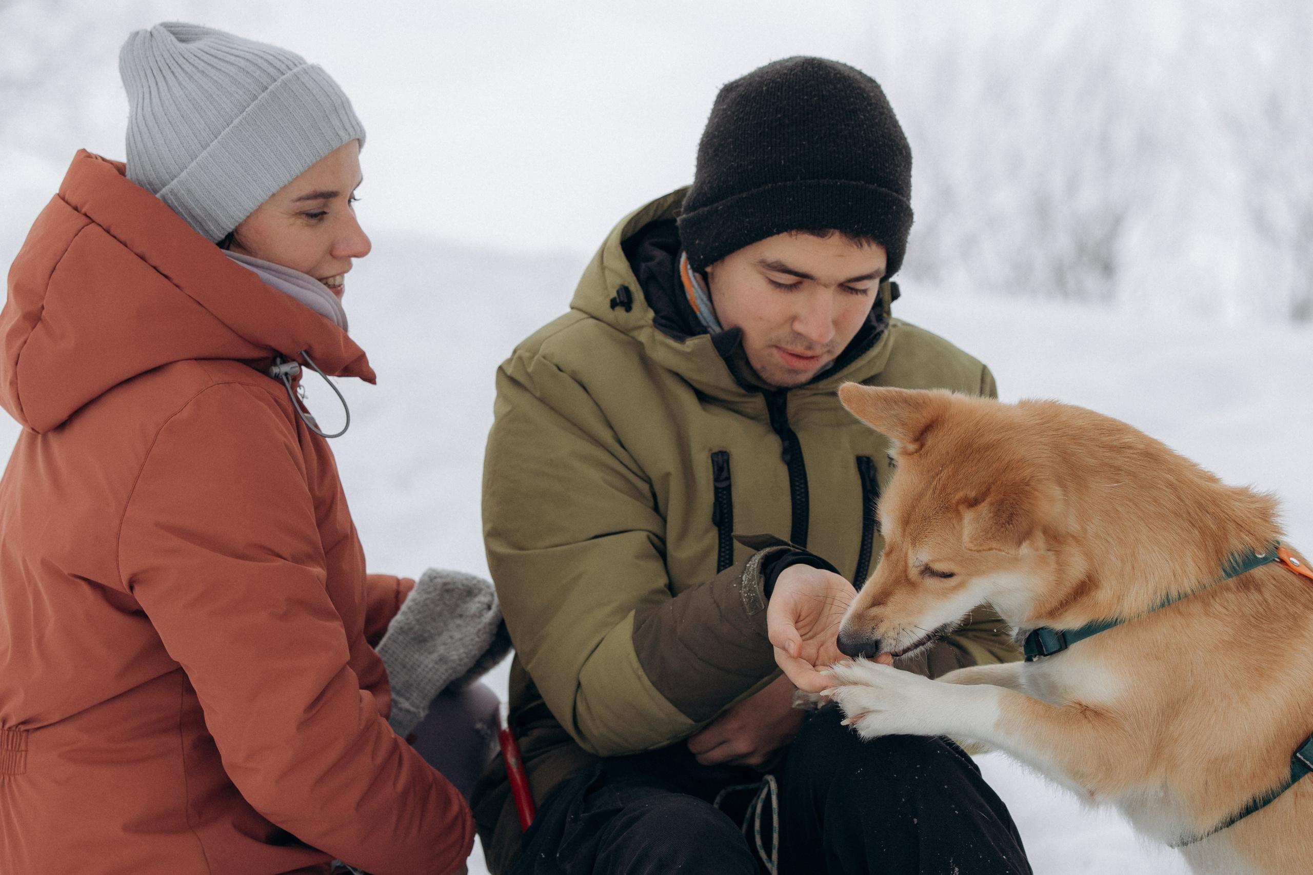 Прогулка на озере зимой. Фотограф анималист в Казани Алина Сулейманова. Фотограф животных