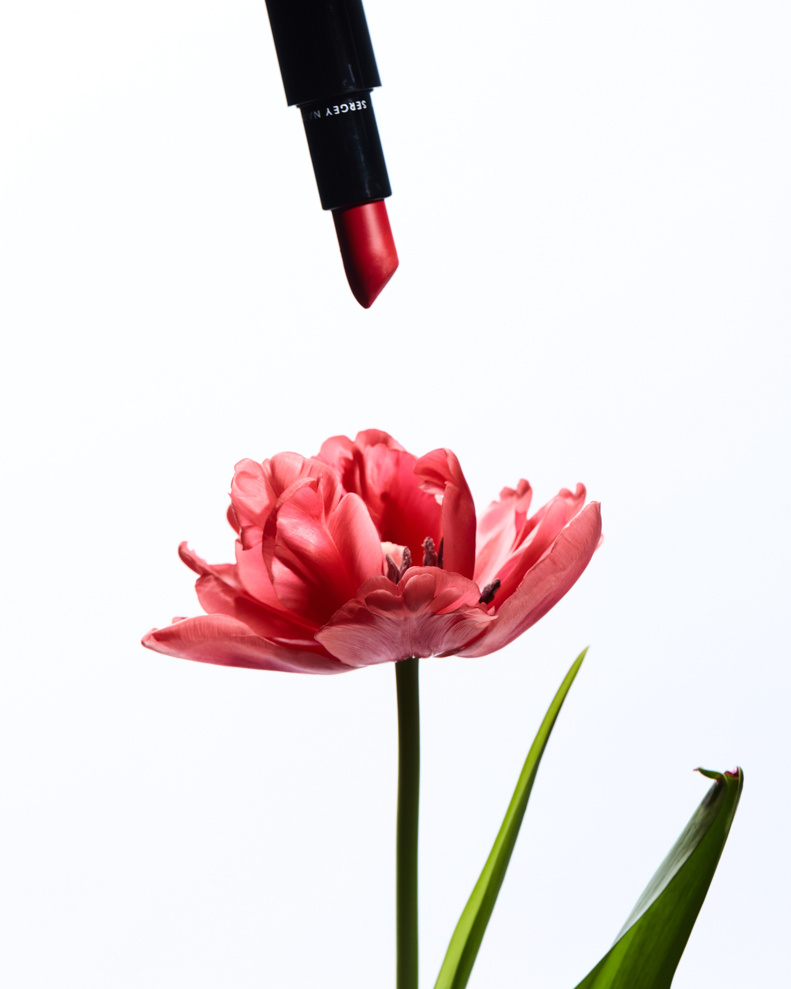 SERGEY NAUMOV. Главная