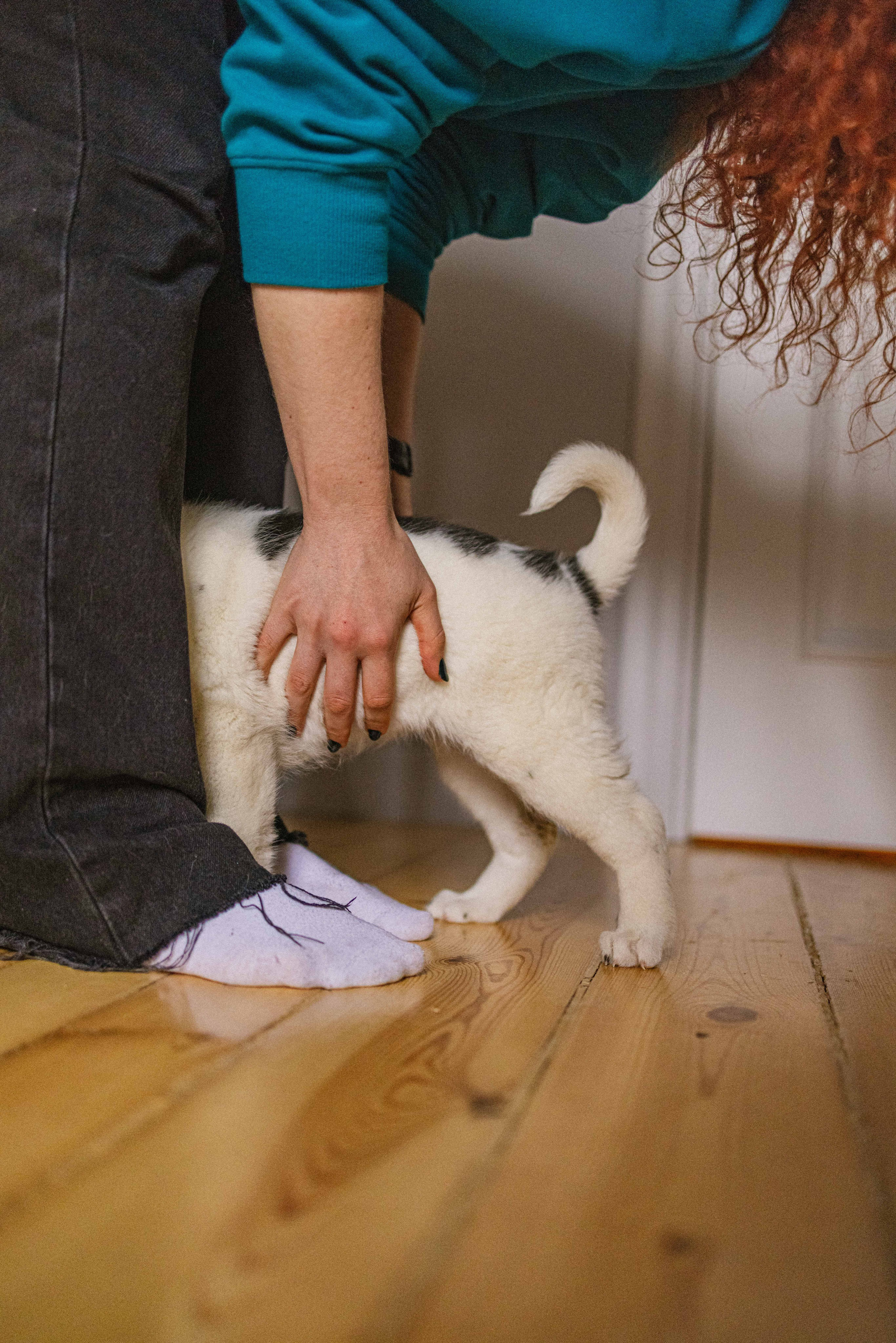 Щеночки. Фотограф-анималист в Москве Лера Черноног