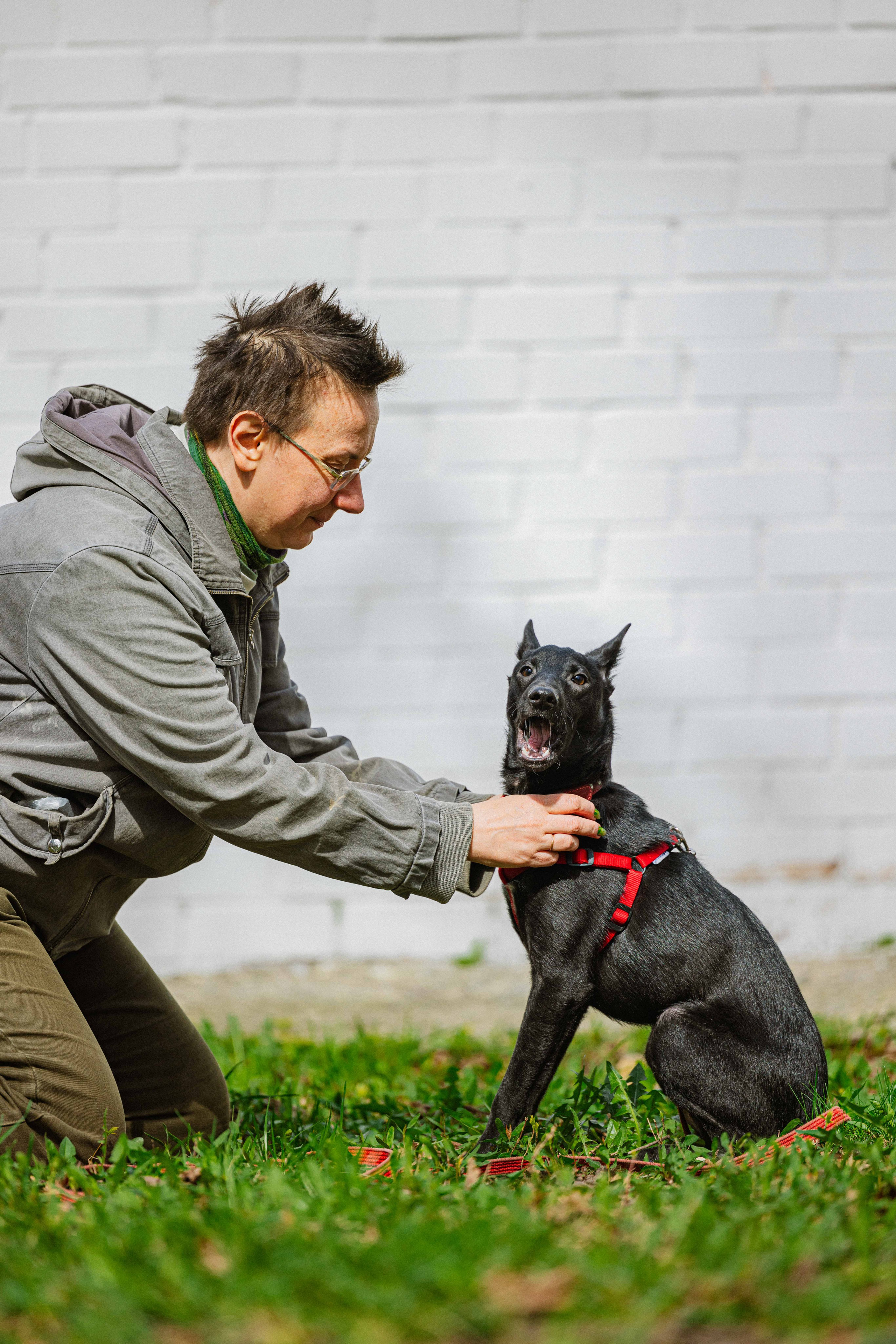 Булька. Фотограф-анималист в Москве Лера Черноног