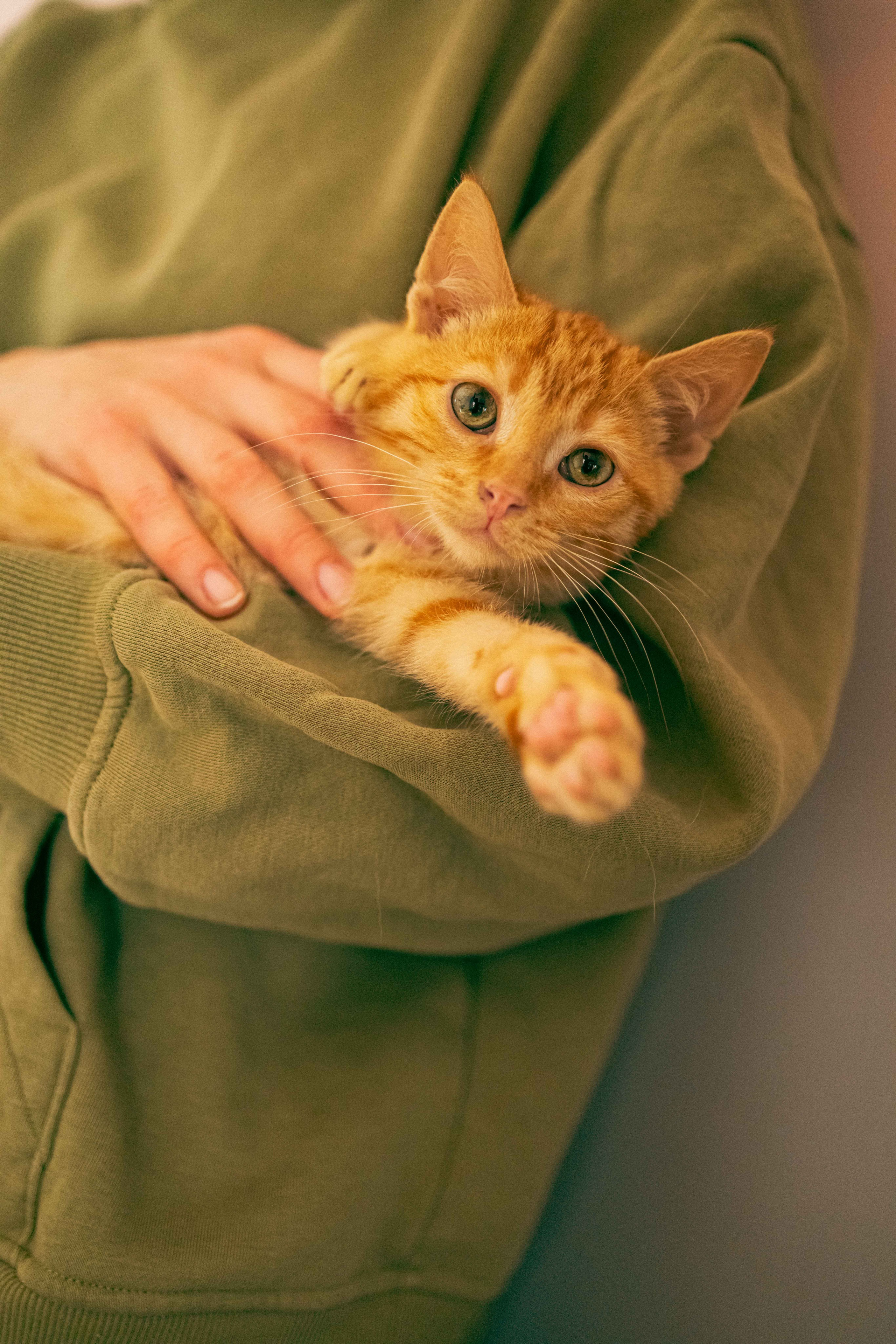 Кускус. Фотограф-анималист в Москве Лера Черноног