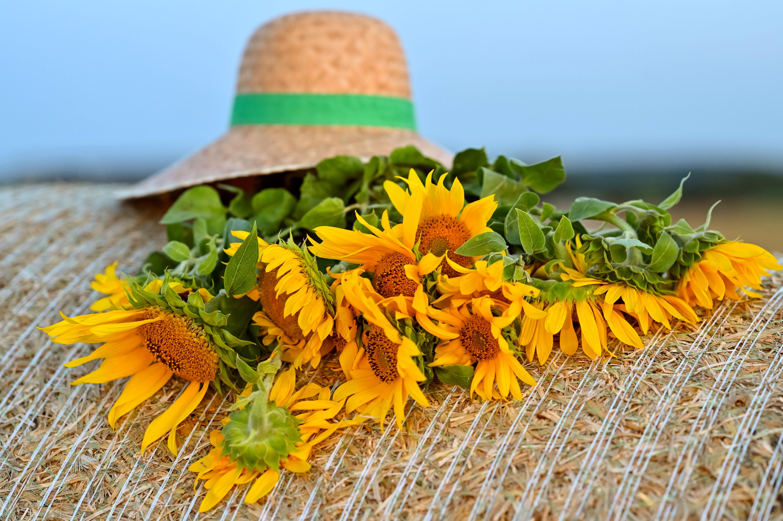Последние дни лета. Семейный фотограф в г. Воскресенск Наталия Молева