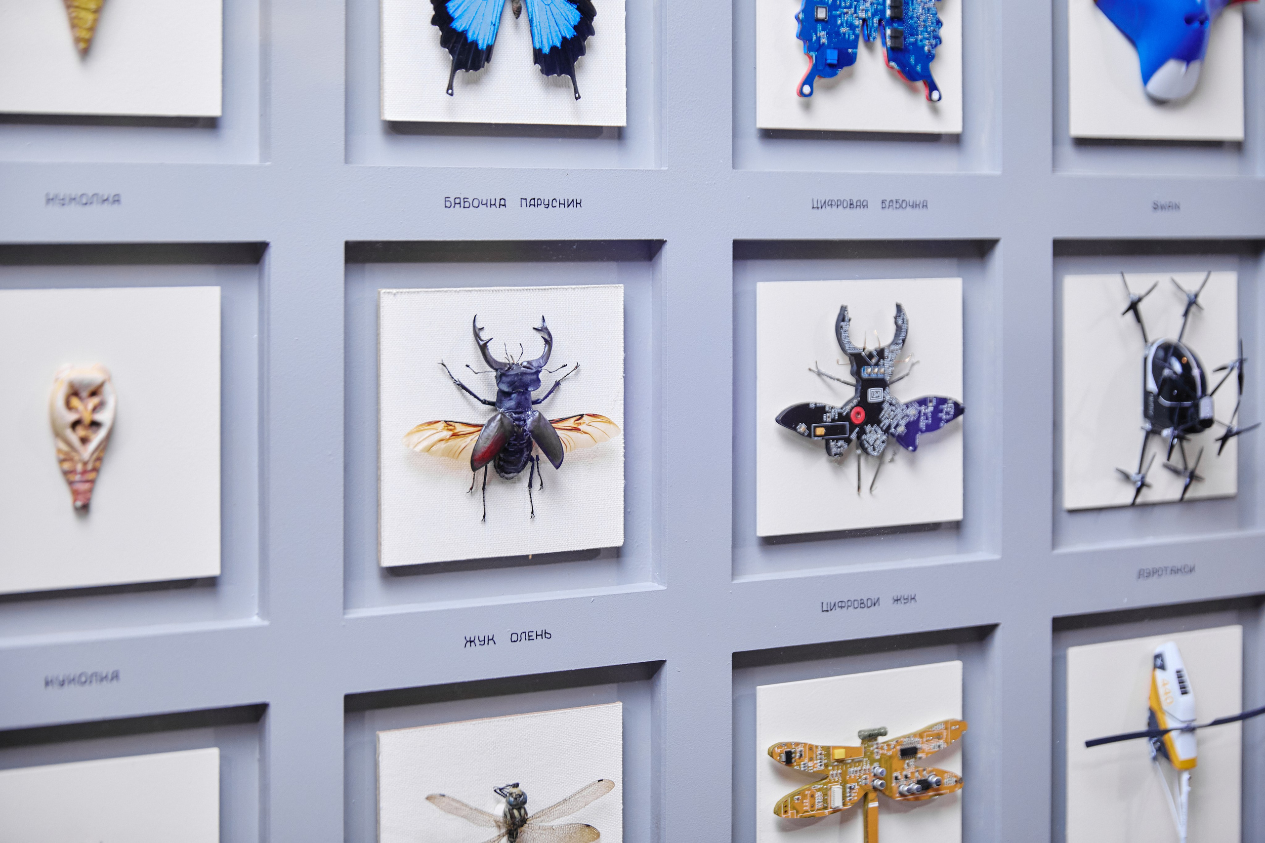 Фотограф фотосессия. Сидоров Андрей Николаевич фотограф в Москве и Новосибирске