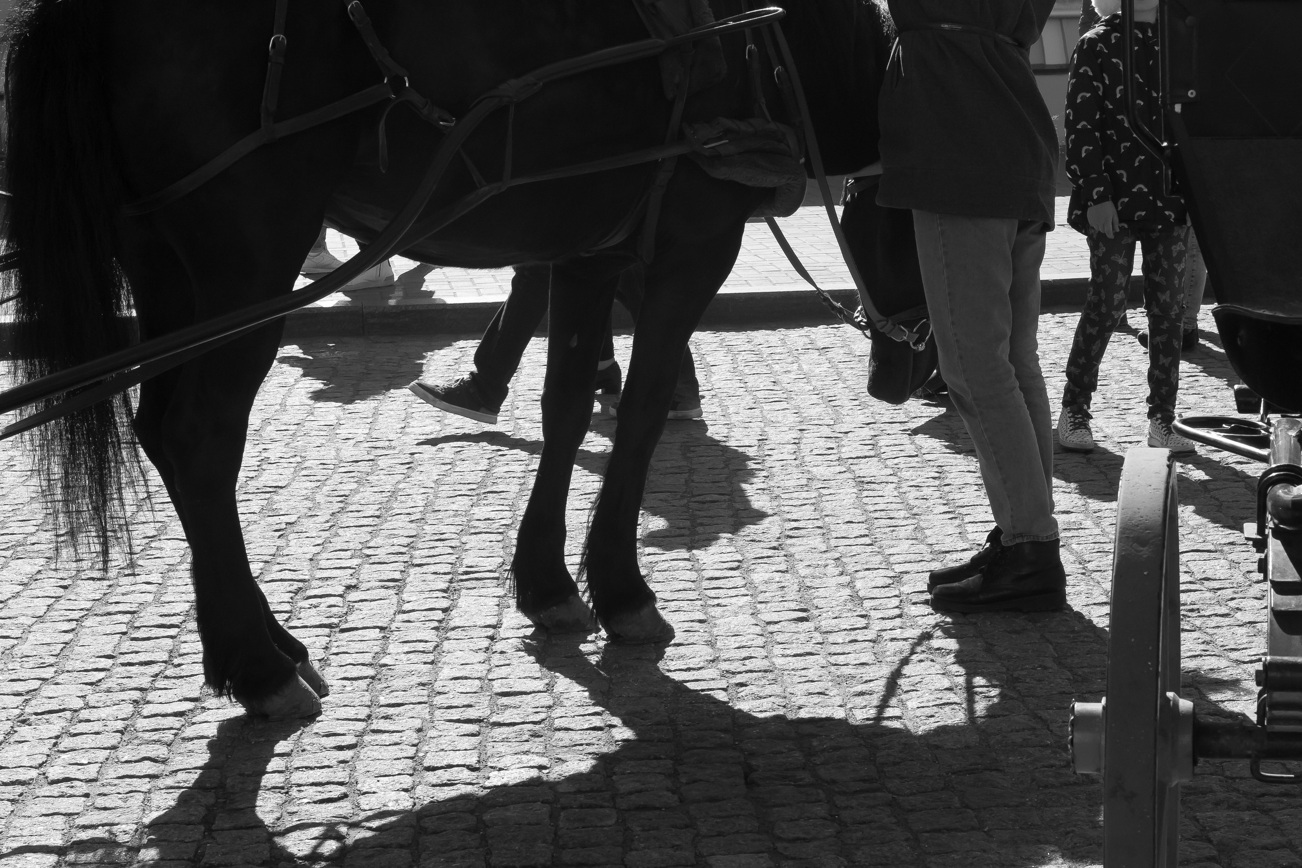 Russia, Kazan. Art Photographer