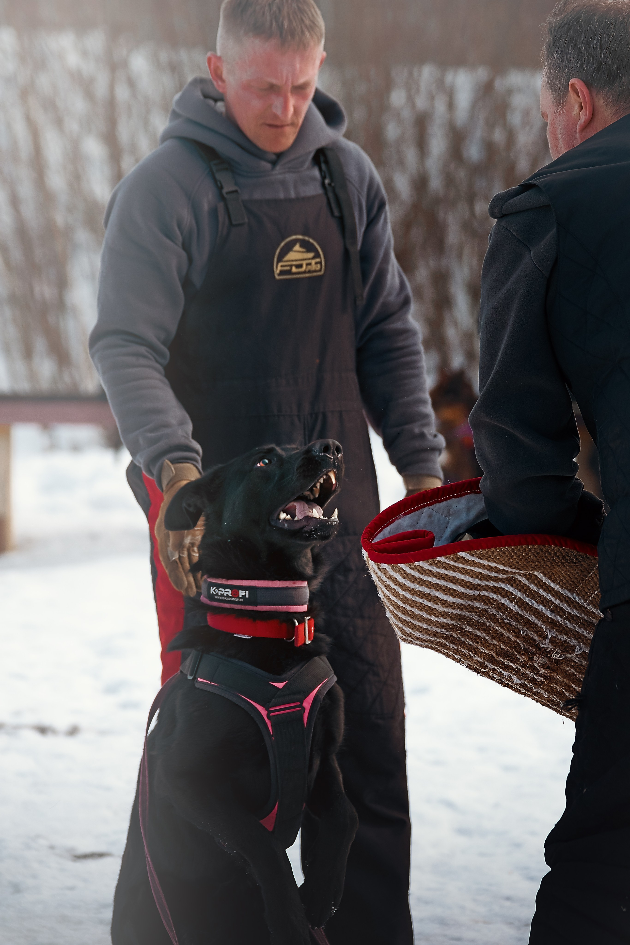 Репортажная съемка. Фотограф-анималист Нижний Новгород