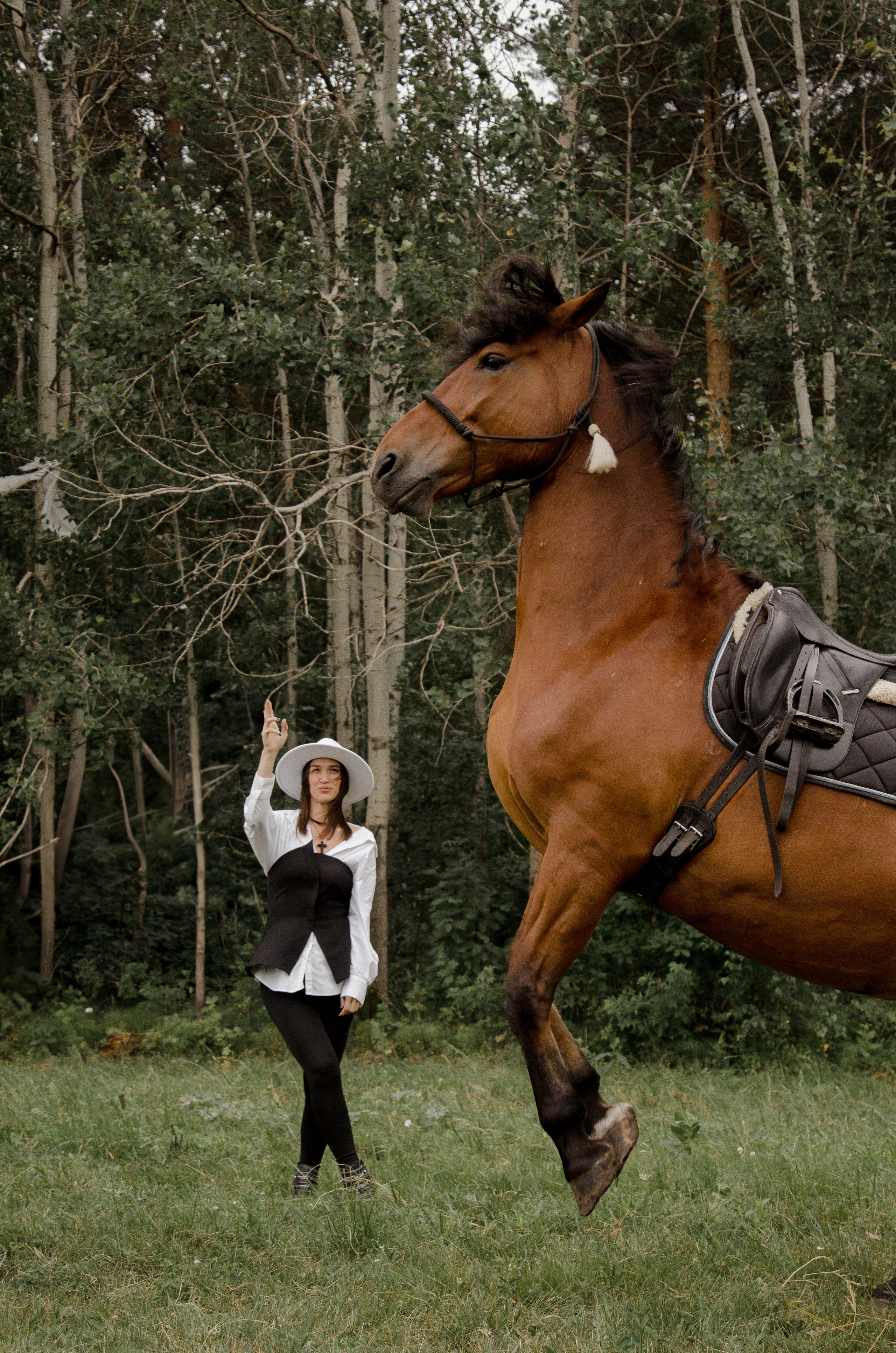 Конный Двор. Фотографы в Тюмени Андрей и Лидия Войвод