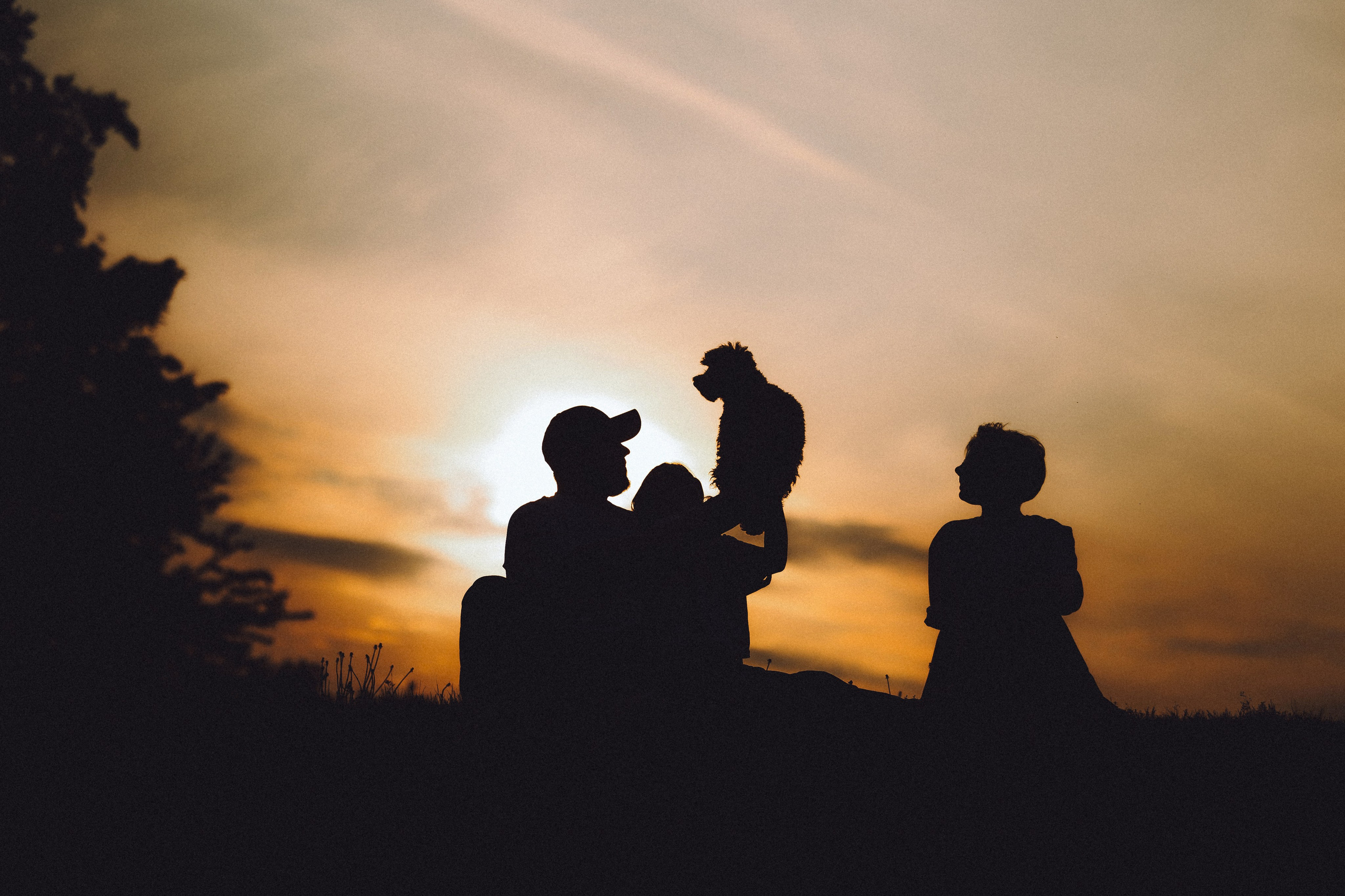 Фред и его семья