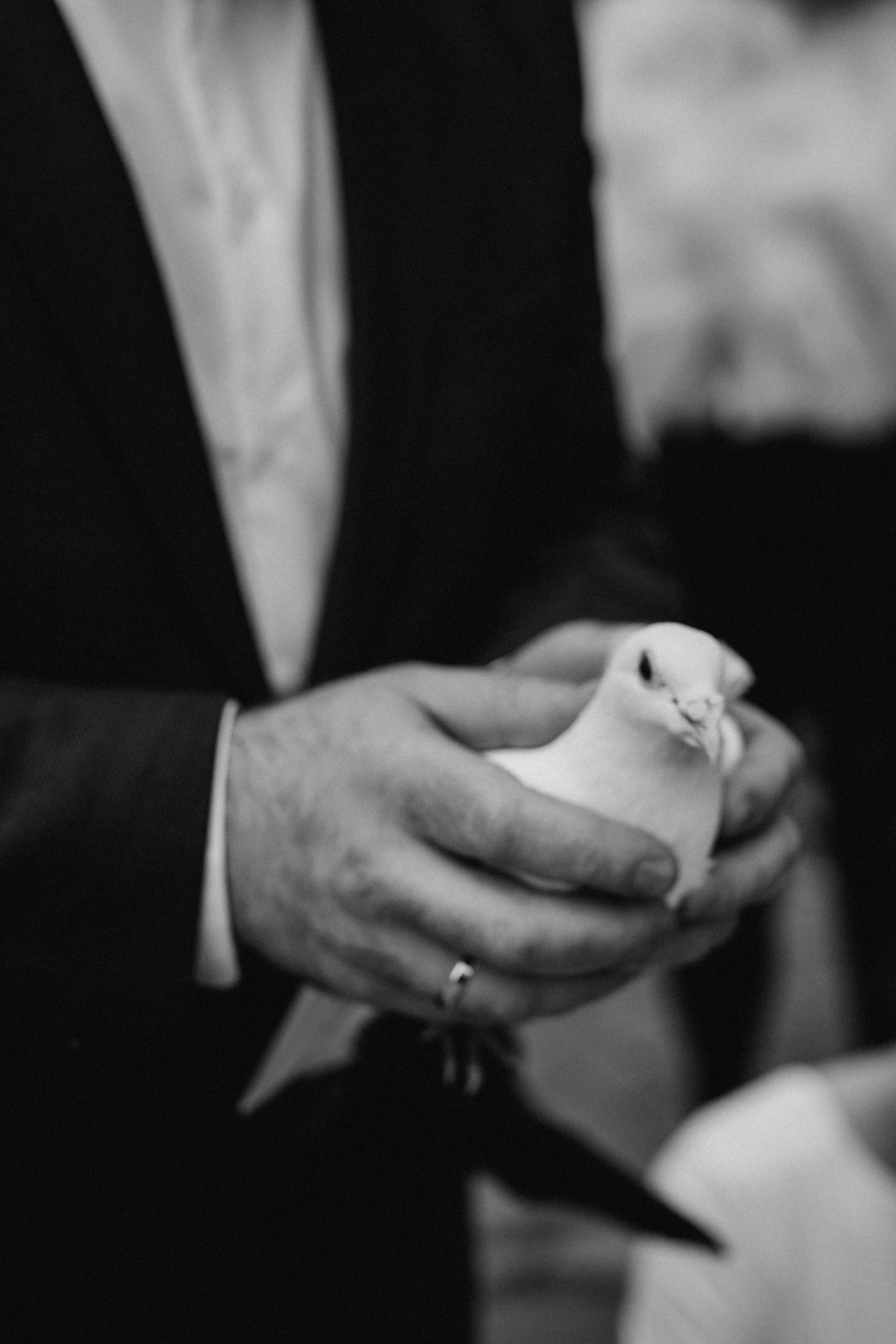 Свадьба. Загс. Семейный свадебный фотограф Екатеринбург Первоуральск Шарнина Алёна