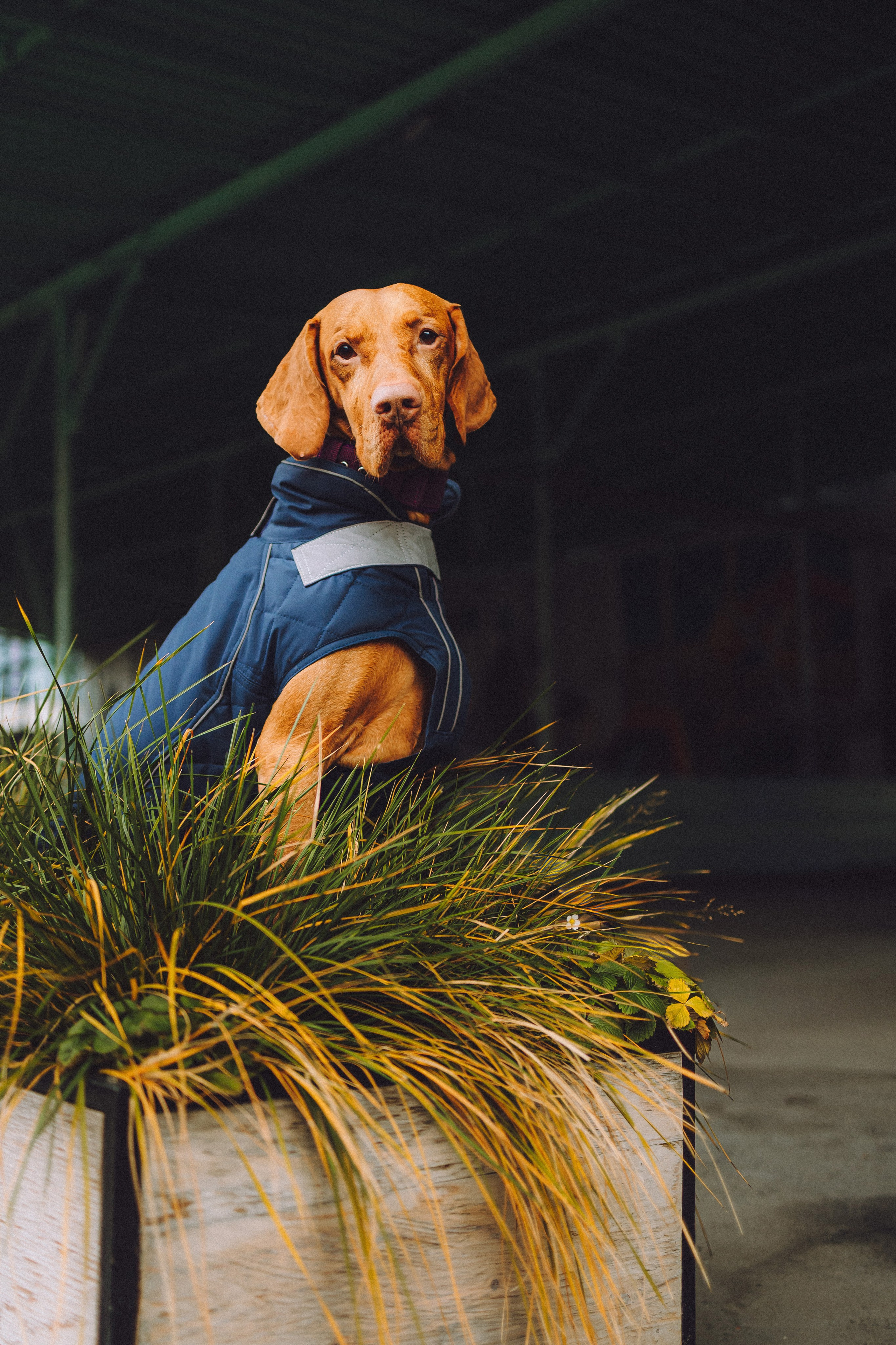 Екатерина и Даня