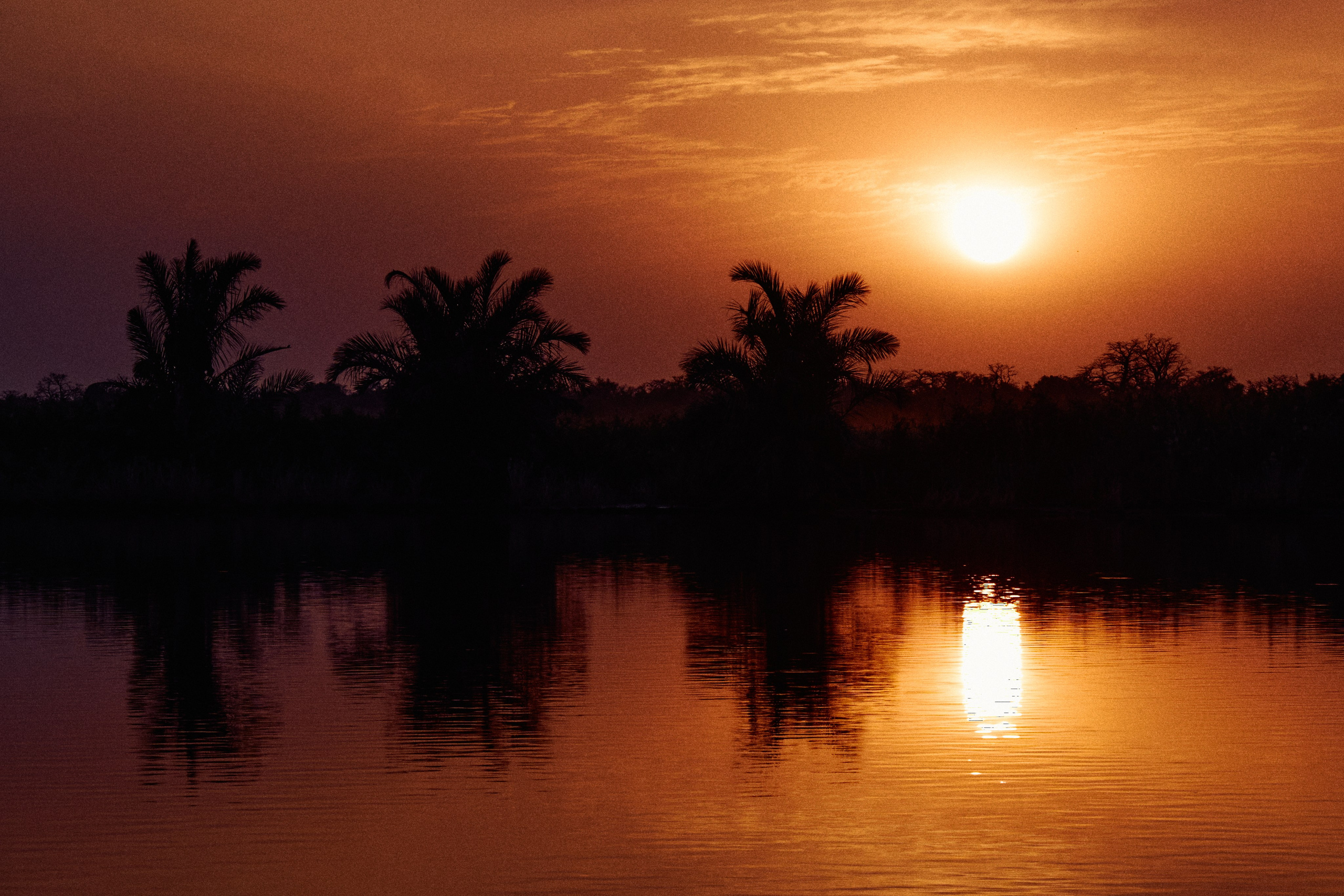 Gambia River. See the moment and catche. commercial and reportage