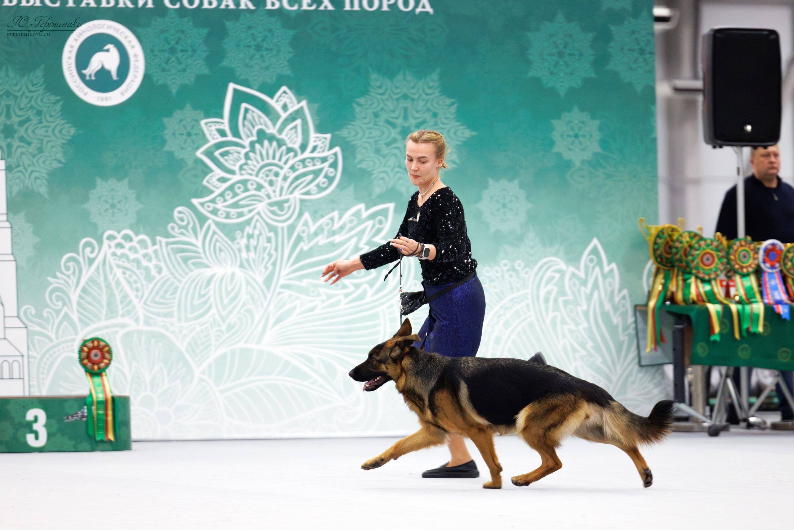 Казань Зилант 30-01.12 2024. Фотограф-анималист Юлия Германика