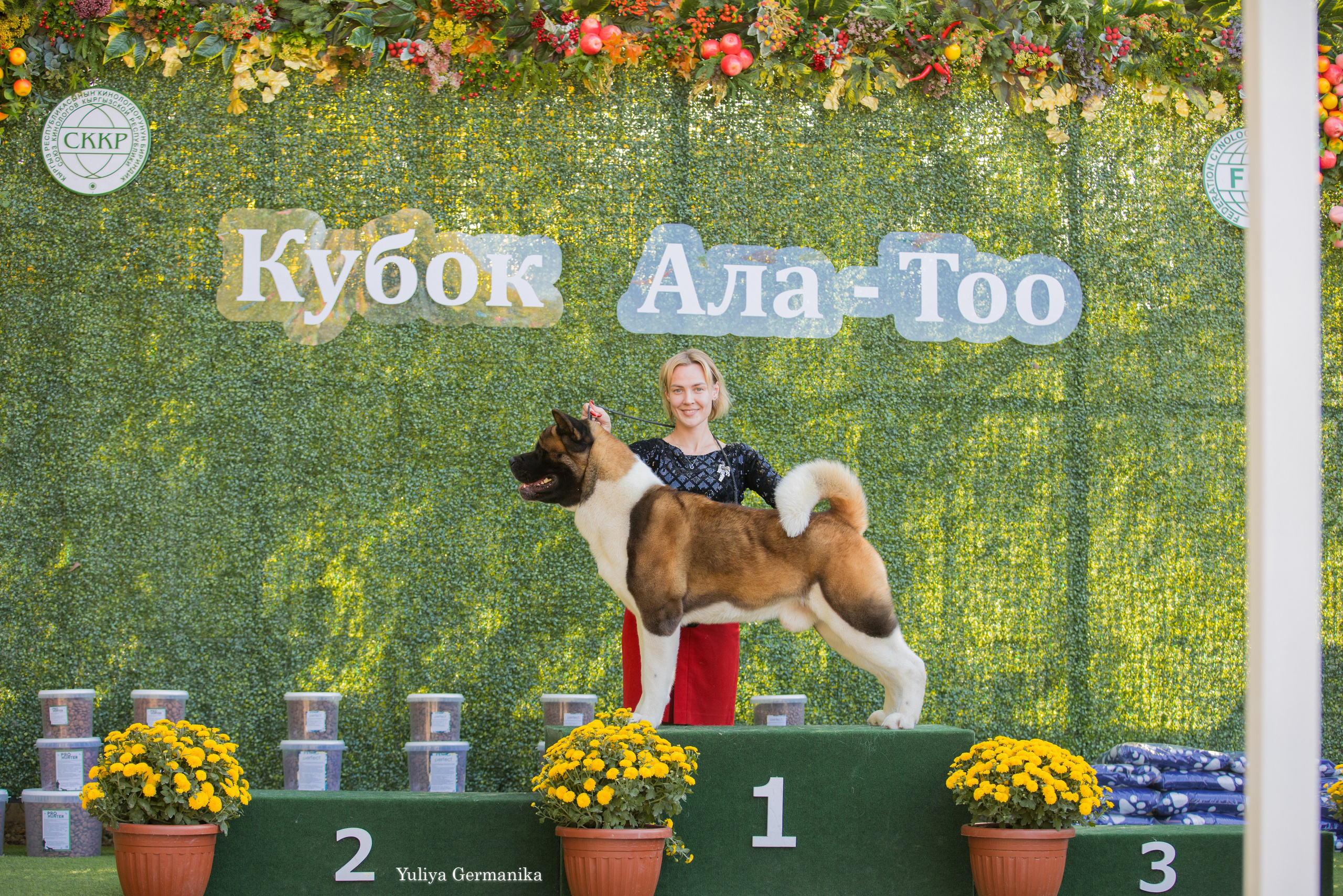 Бишкек 29.09-01.10.2023. Фотограф-анималист Юлия Германика