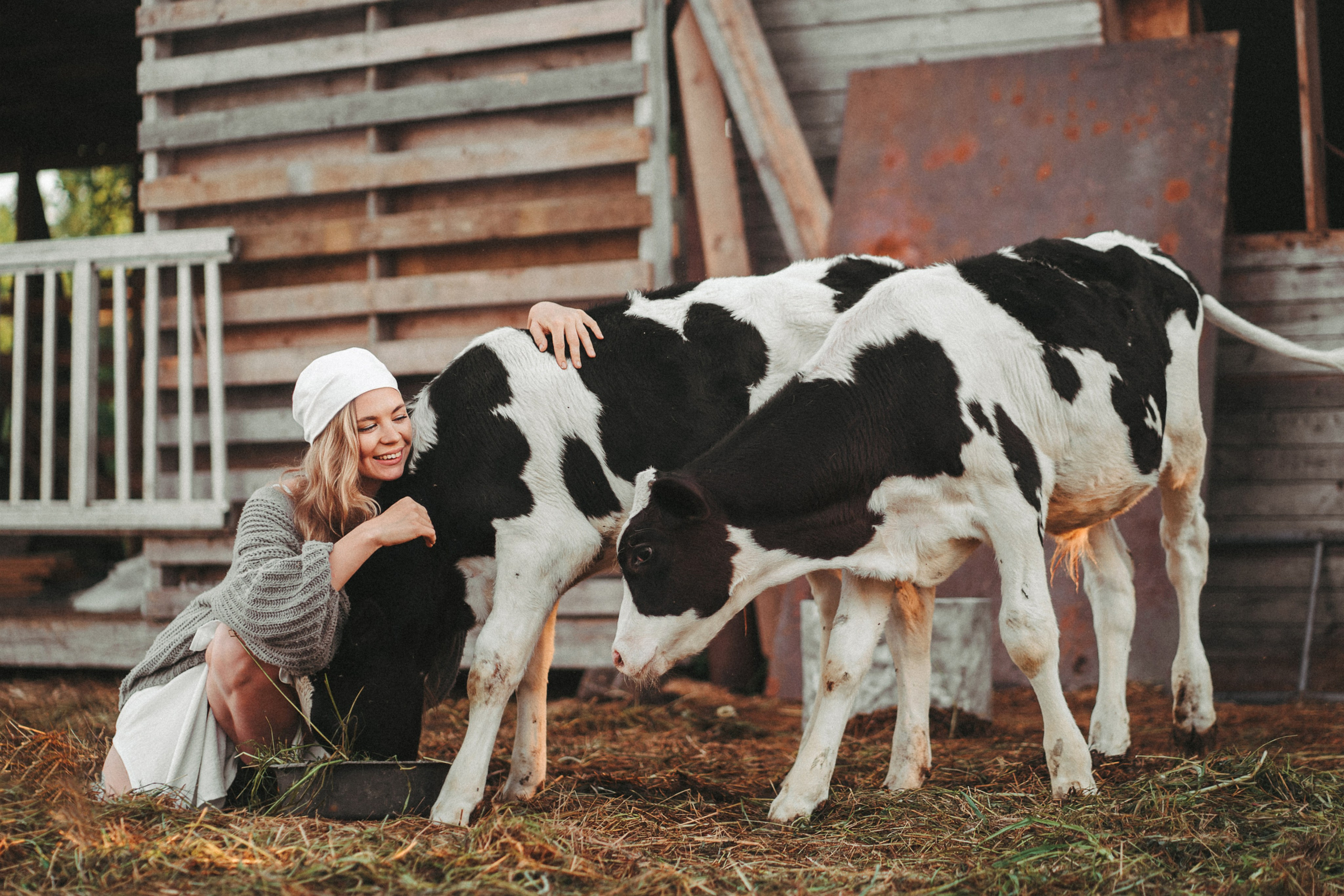 Художественные. Главная