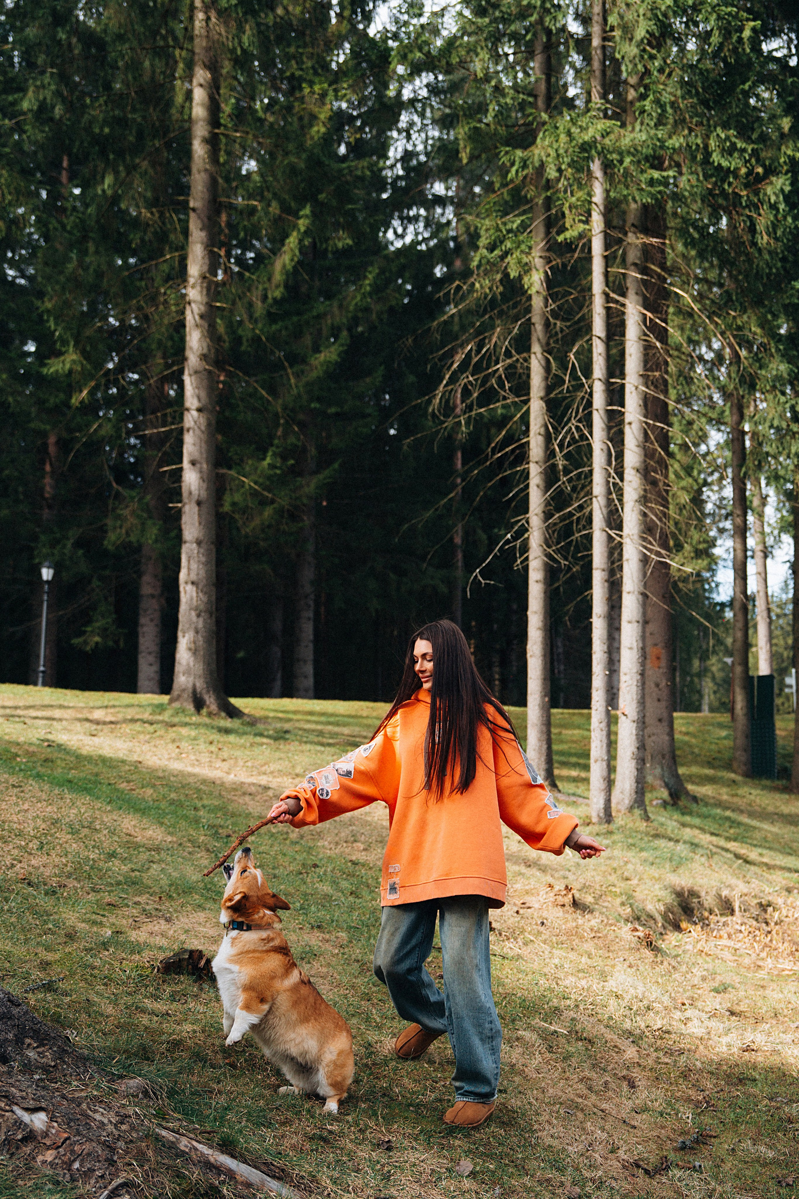 Хвостики. Главная