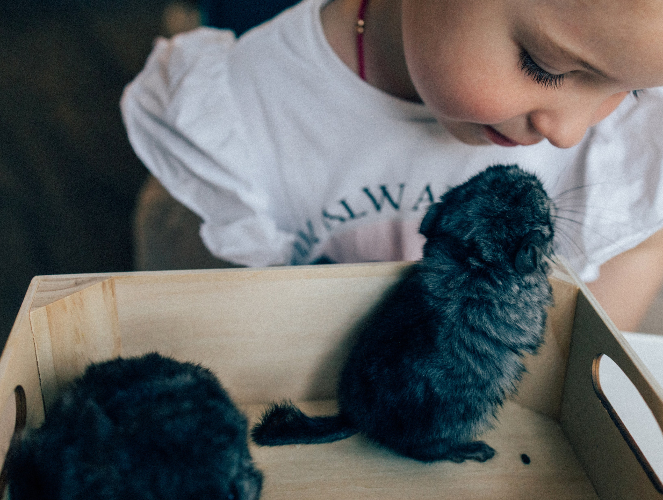 Lifstyle Фролкины. Семейный, женский и детский фотограф Татьяна Колобаева