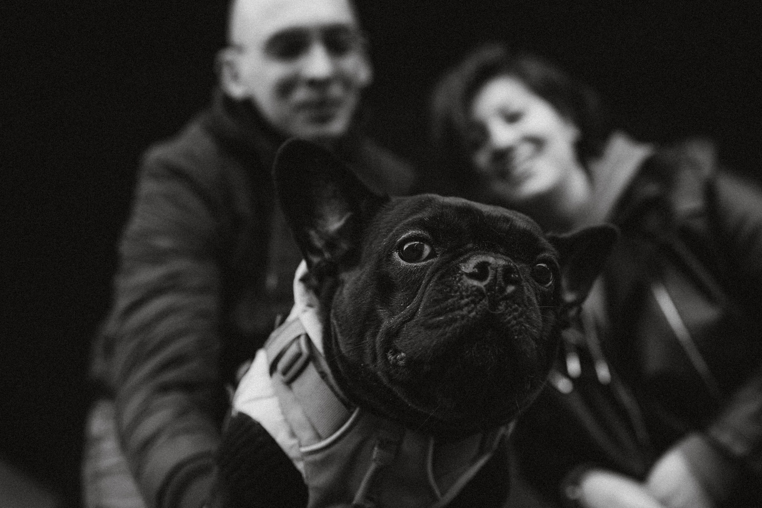 Саша, Дима и Шпуля