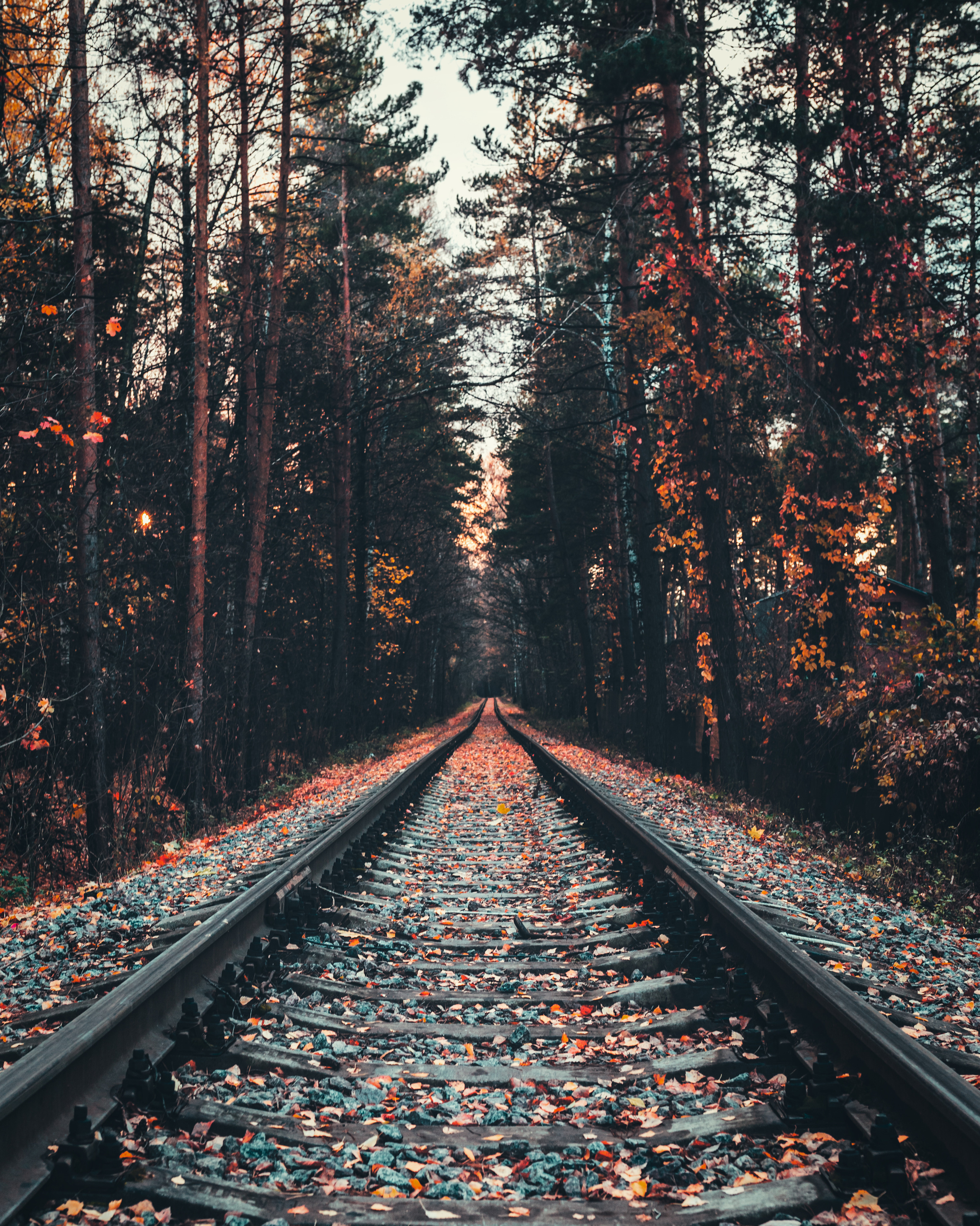 Пейзажная фотография. Александр Малышев — интерьерный, архитектурный фотограф в Москве