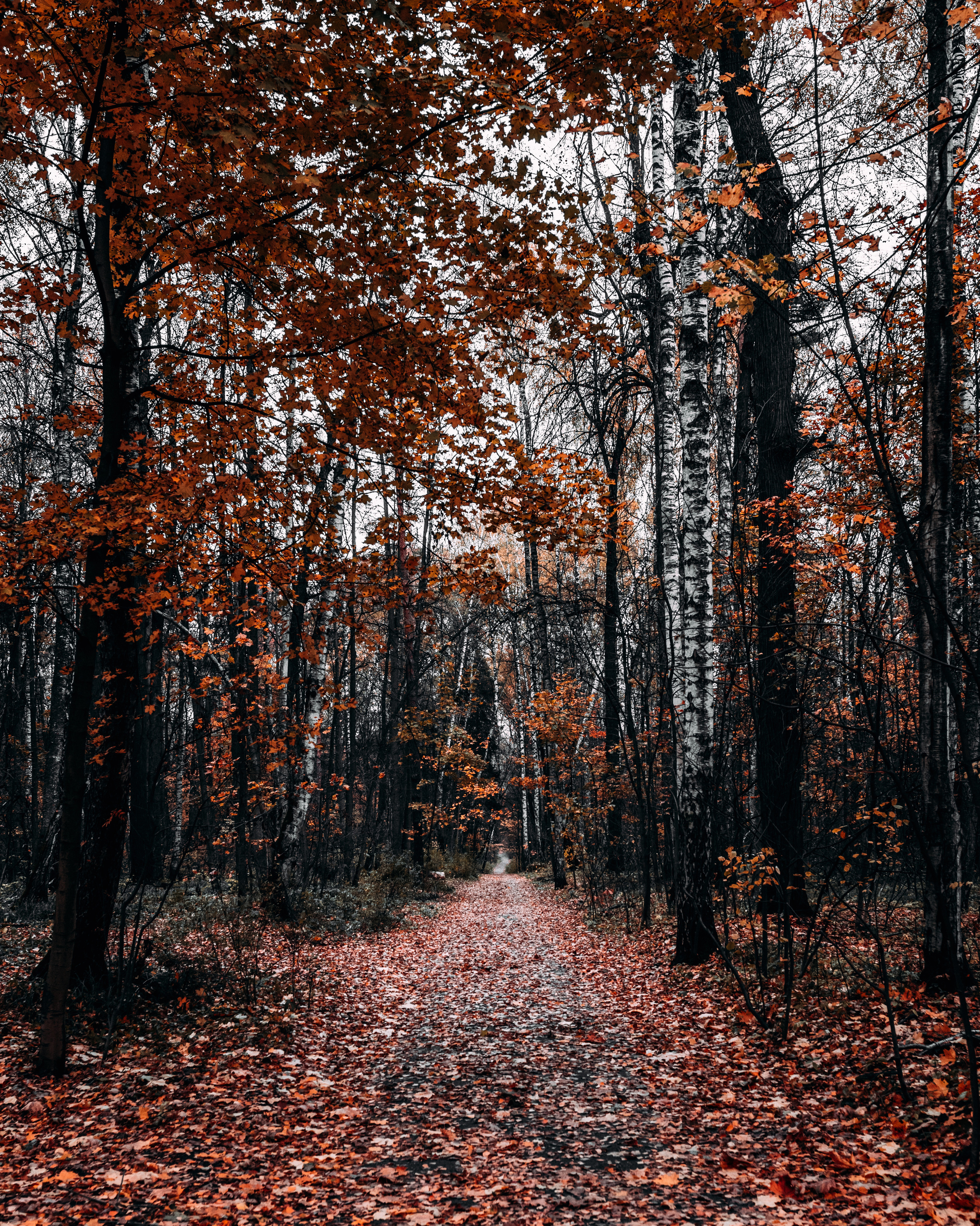 Пейзажная фотография. Александр Малышев — интерьерный, архитектурный фотограф в Москве