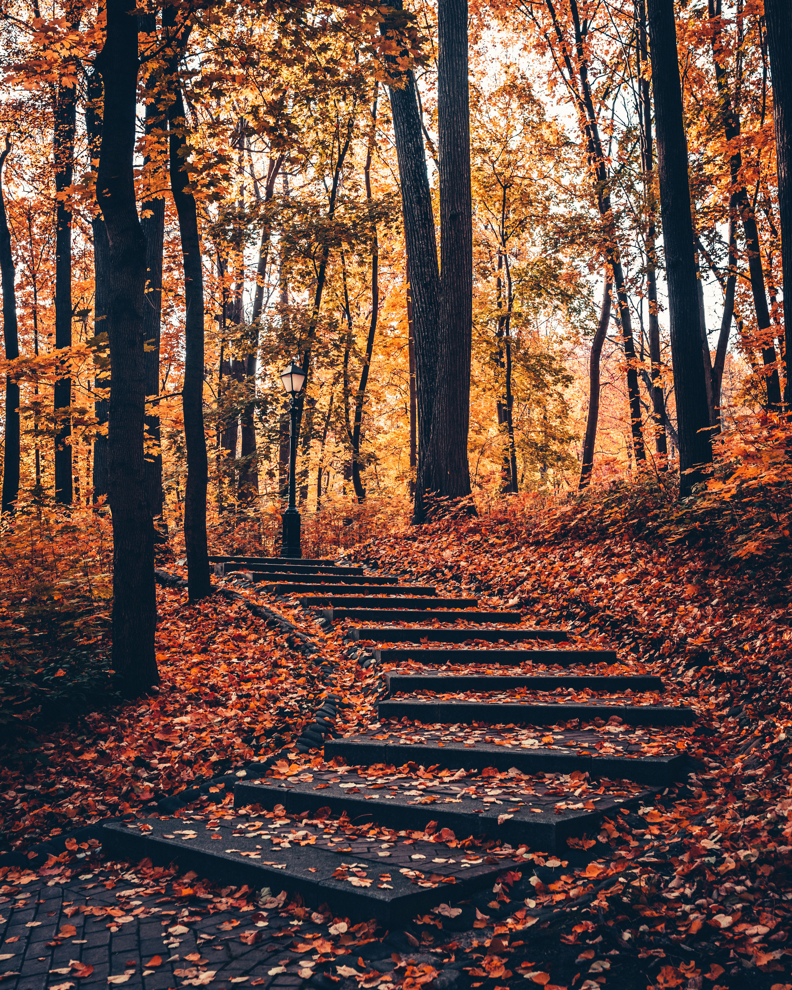 Пейзажная фотография. Александр Малышев — интерьерный, архитектурный фотограф в Москве