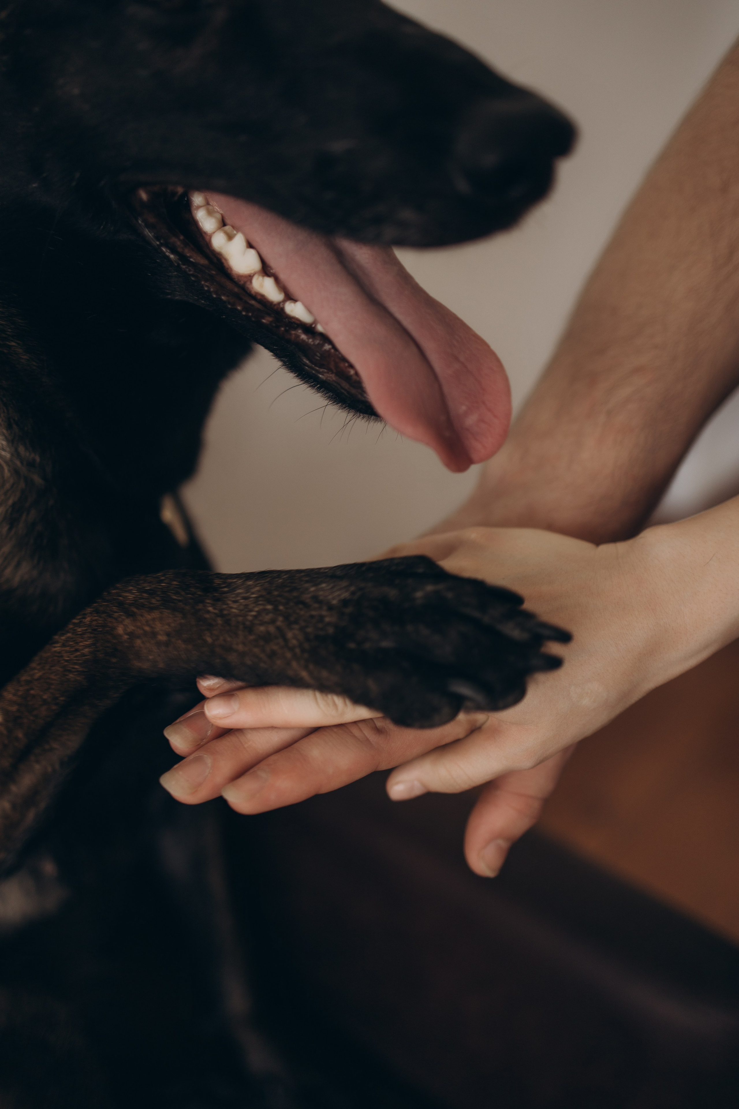 Беременность. Семейный и женский фотограф в Москве Елизавета Волкова