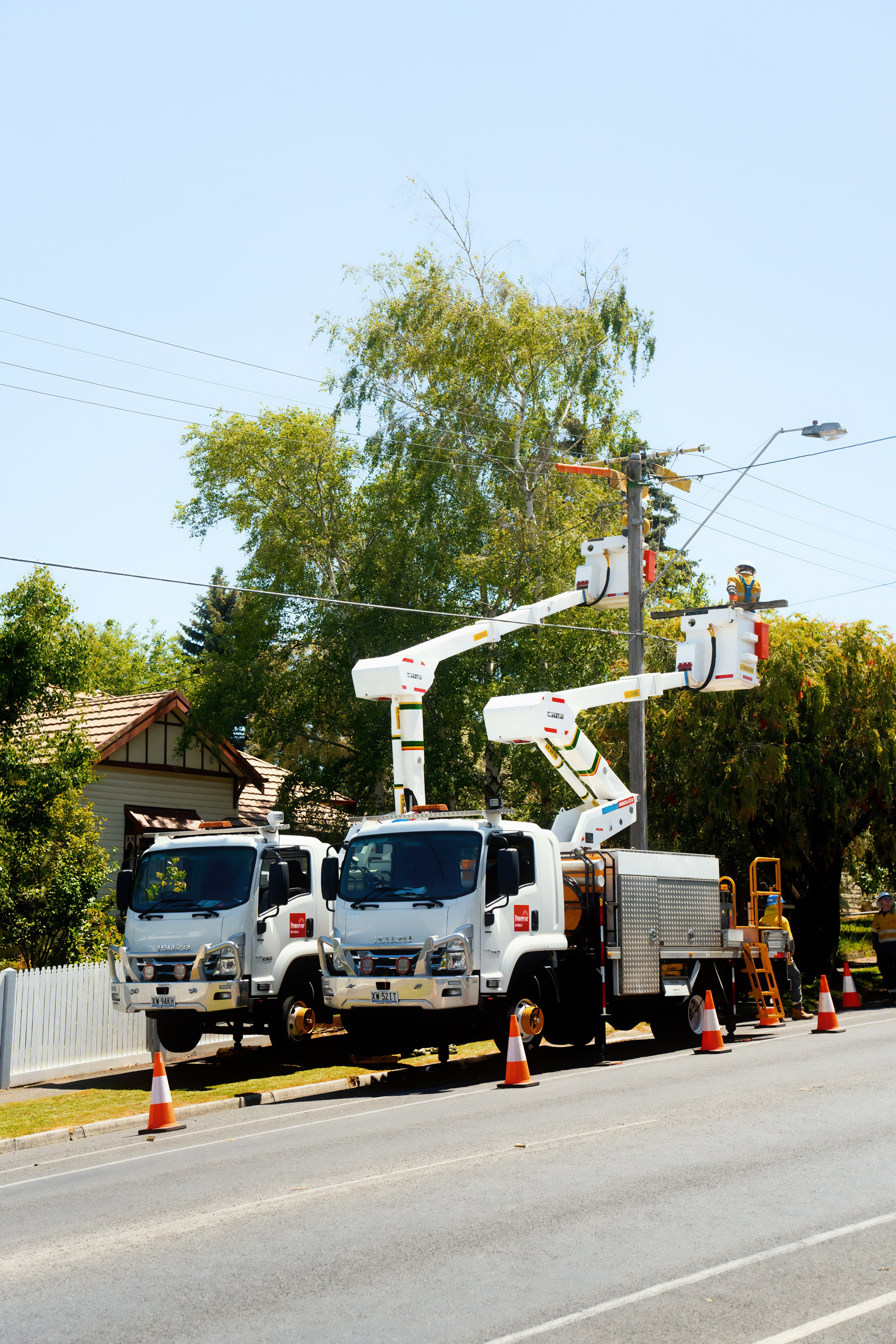 Австралия. Фотограф в Хабаровске. Фотография за 24 часа