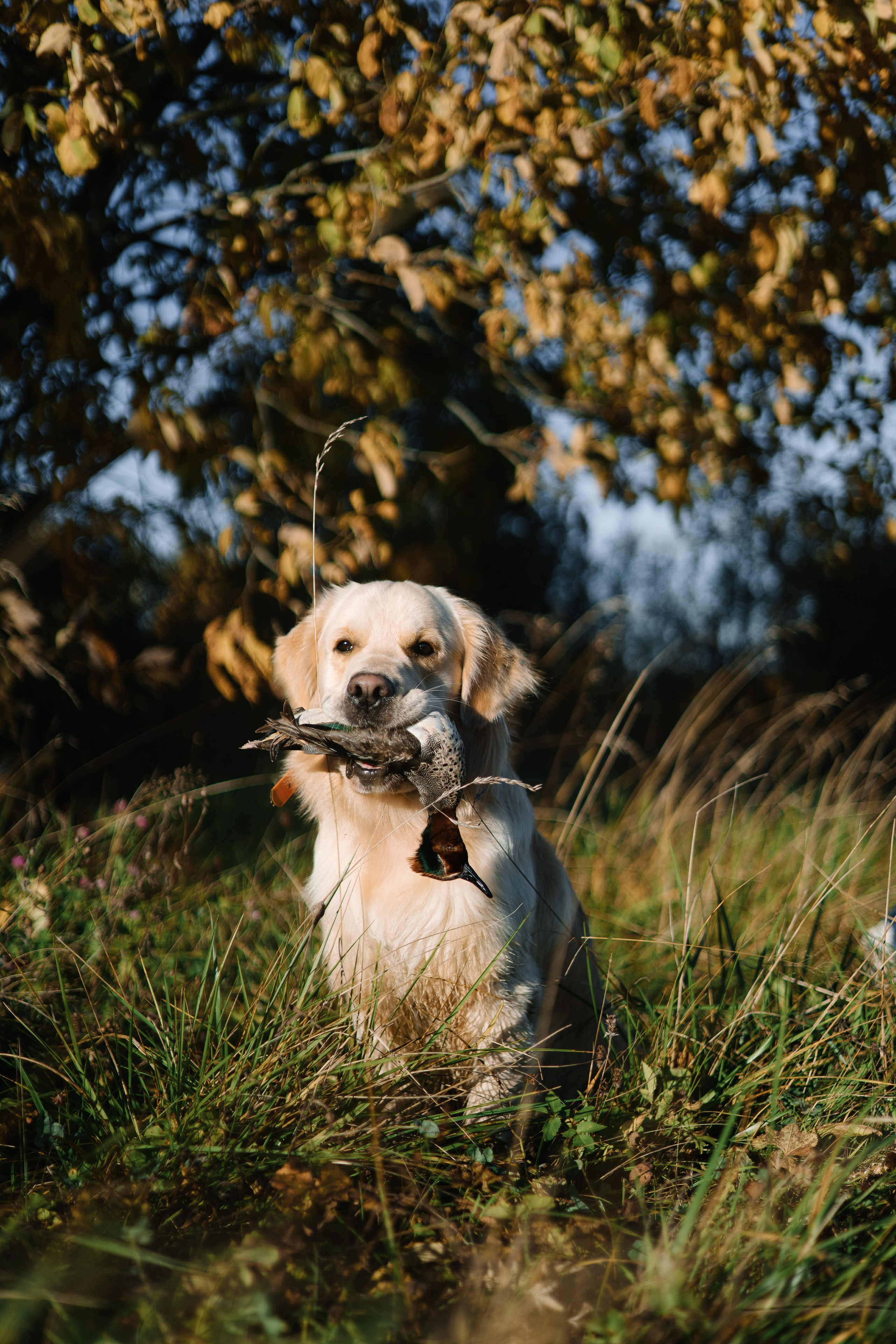 Для охотника