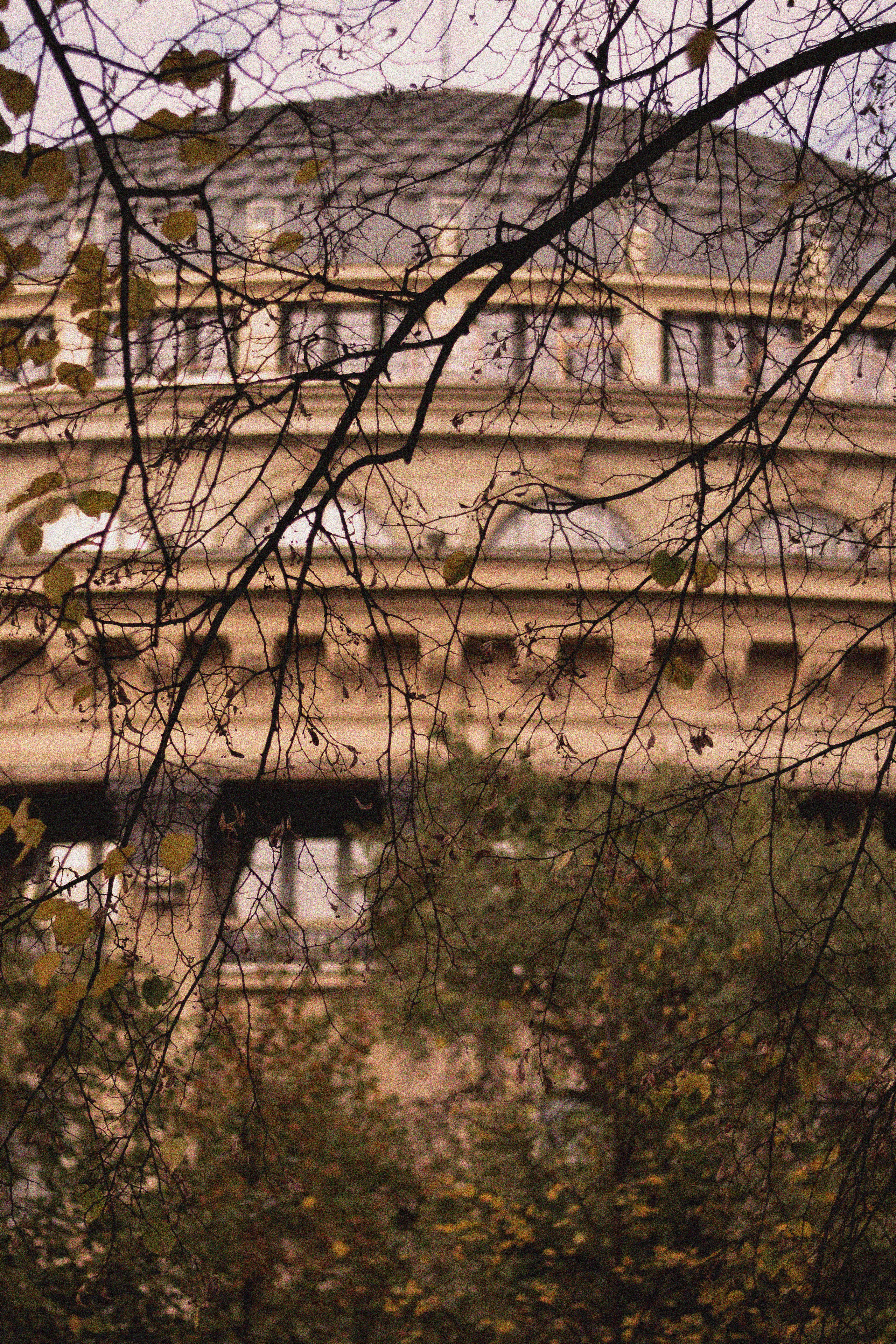 STREET. Фотограф Ольга Дмитриева. Новосибирск