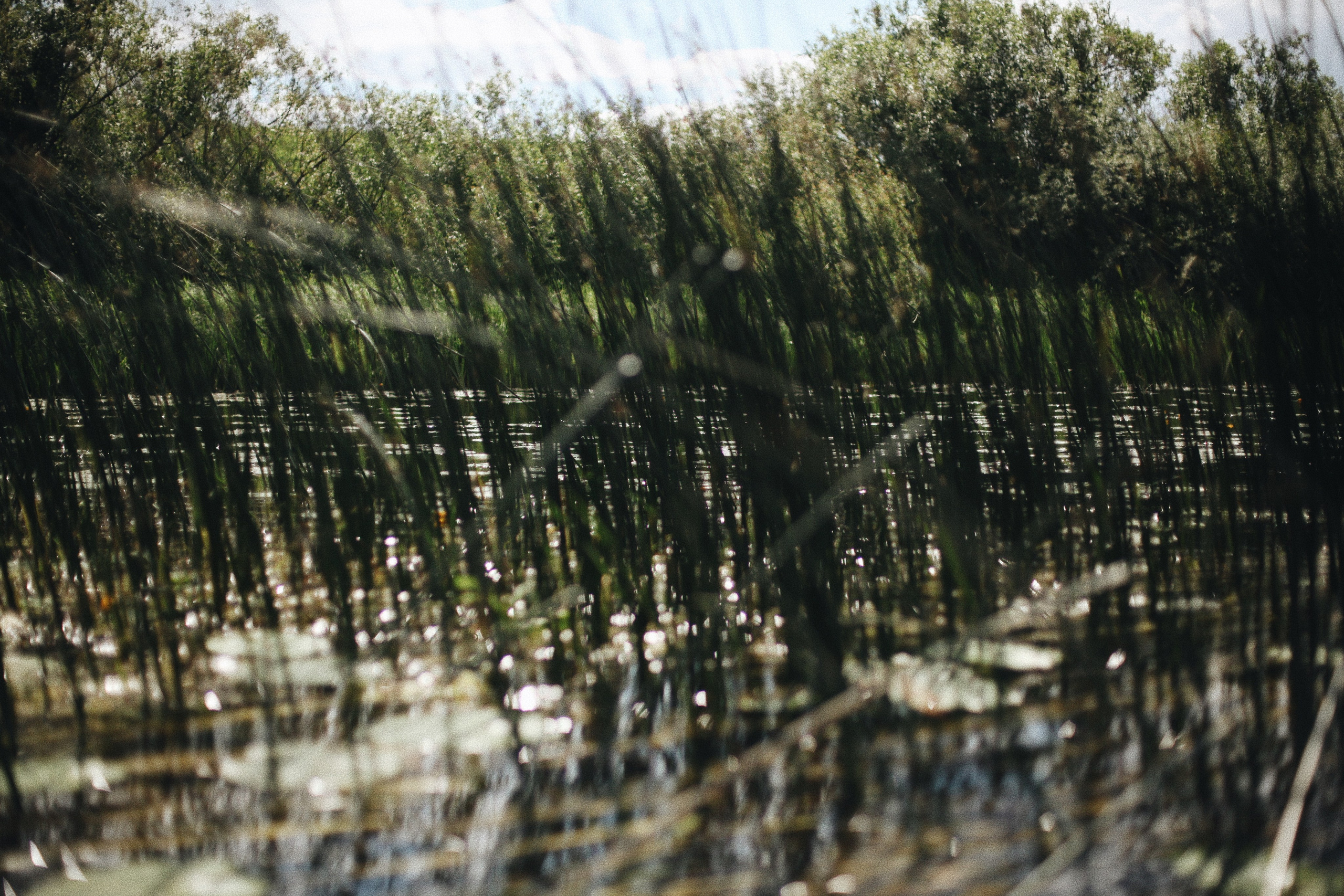 Река МИРА. Ксения Плотникова