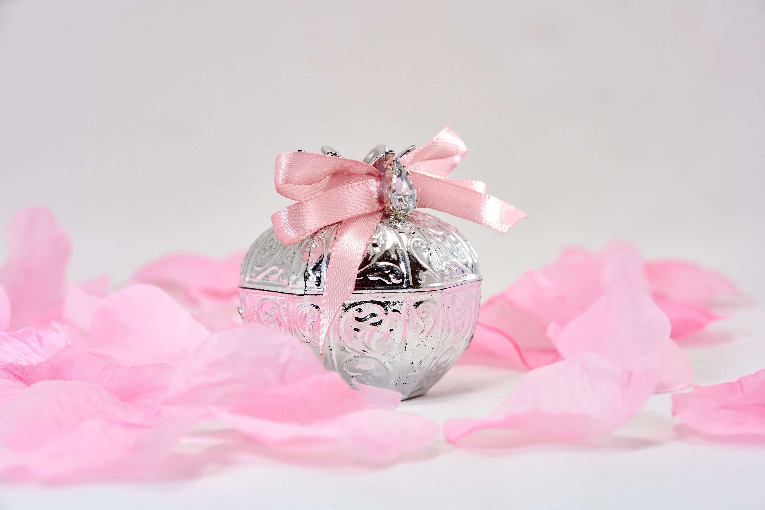 Пердметная фотография. Контент фотография. Краснодар